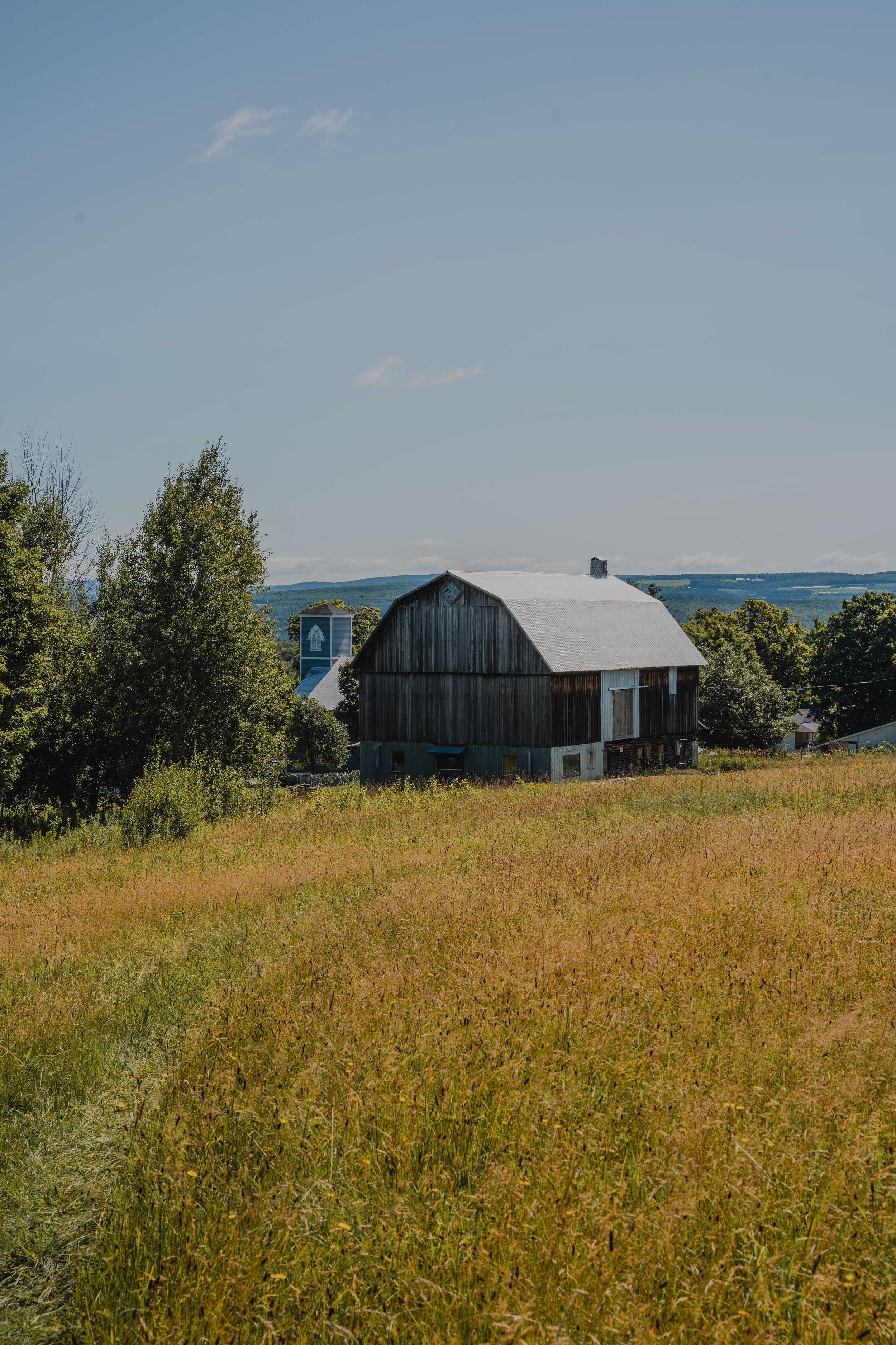 museebronze_onvasepromener_chien_quebec_randonnee (3).jpg