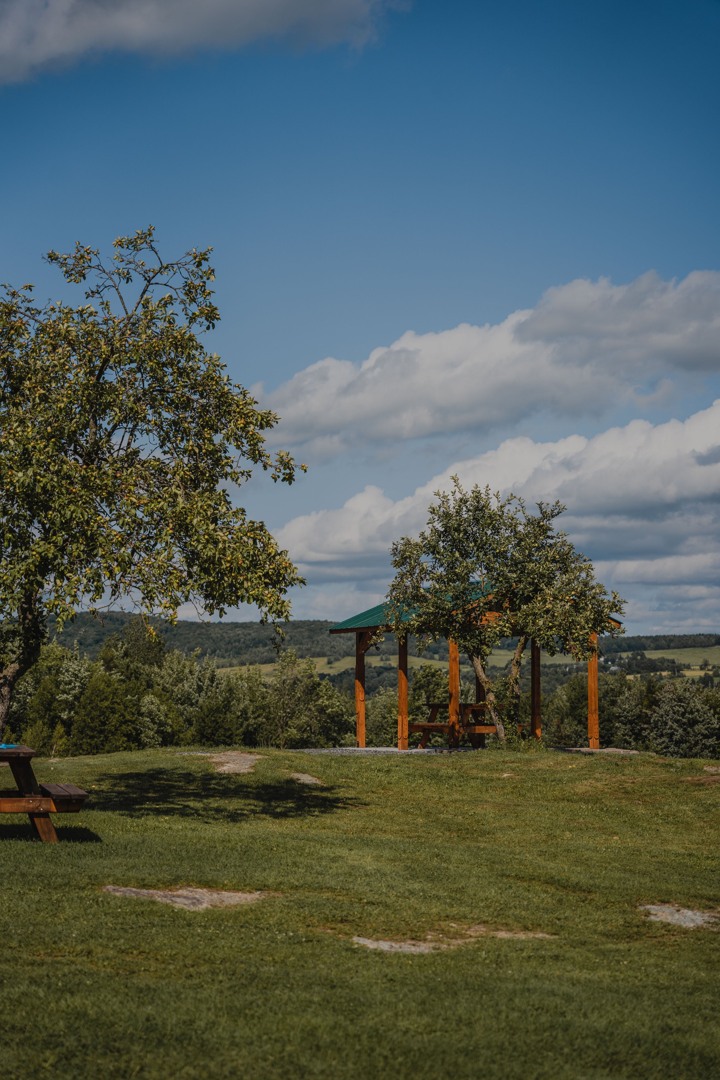 vignoblegavet_onvasepromener_chien_randonnee (3).jpg