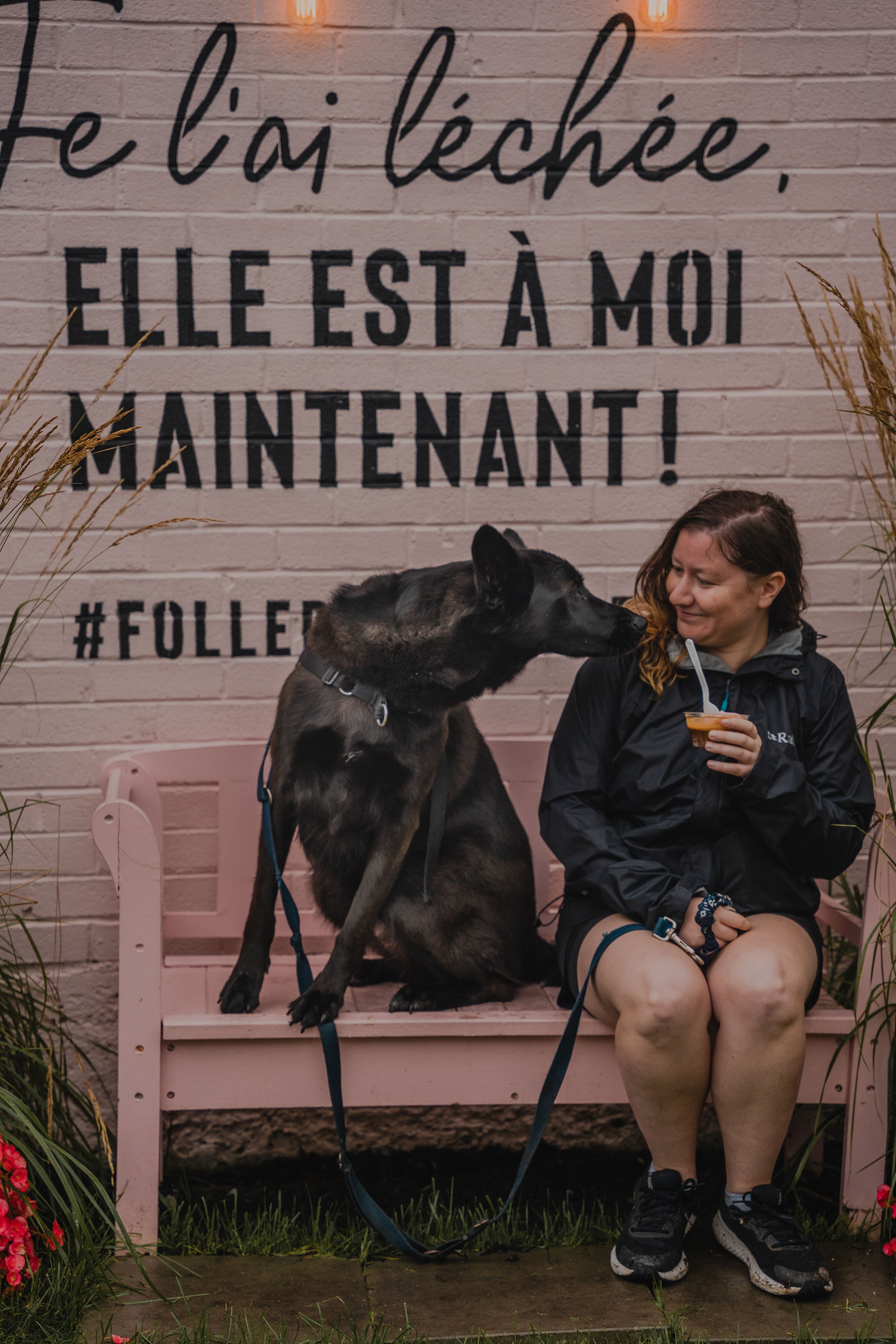 chien_ou aller_quevec_activité a faire avec son chien (48).jpg