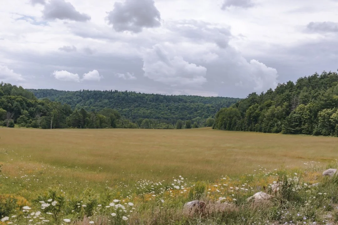 [Outaouais, Wakefield] Parc de la Gatineau, Sentier 52 et 53 