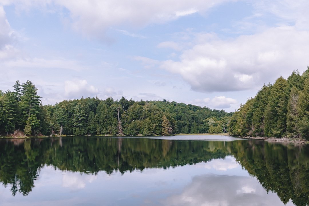 [Outaouais, Gatineau] Ruines Carbide Willson, sentier 35