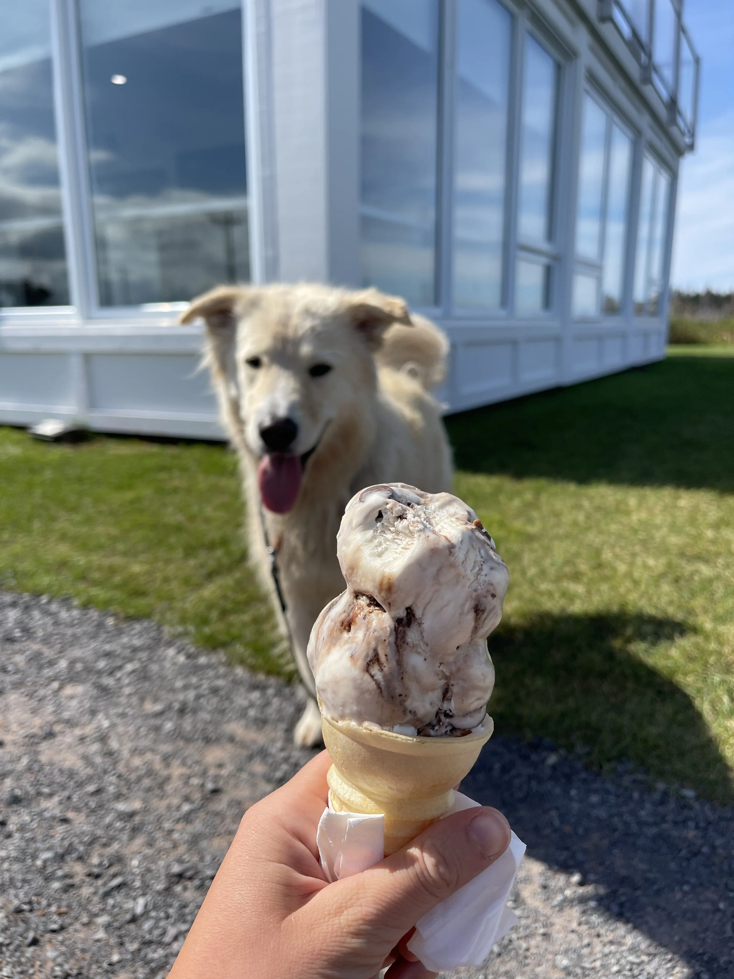 [IPE, Tracadie] Harry's Dairy Bar — On va se promener?