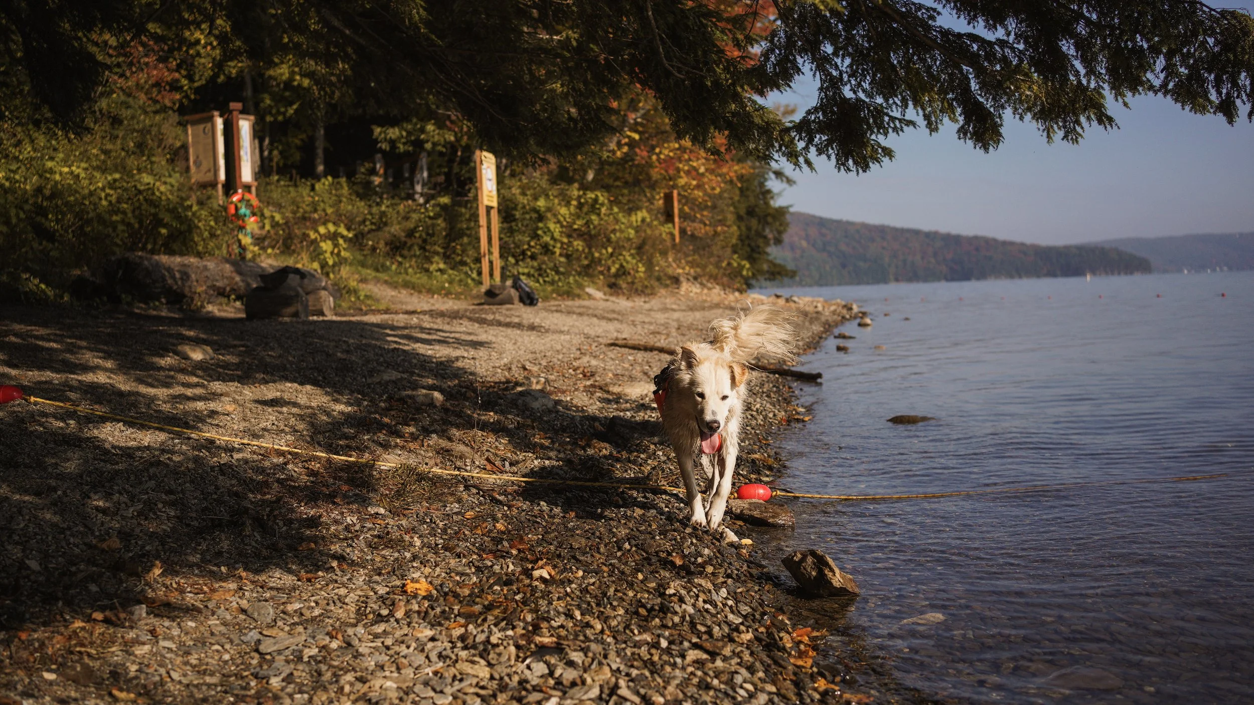 [Estrie, Sainte-Catherine-de-Hatley] Sentiers de la vallée Massawippi
