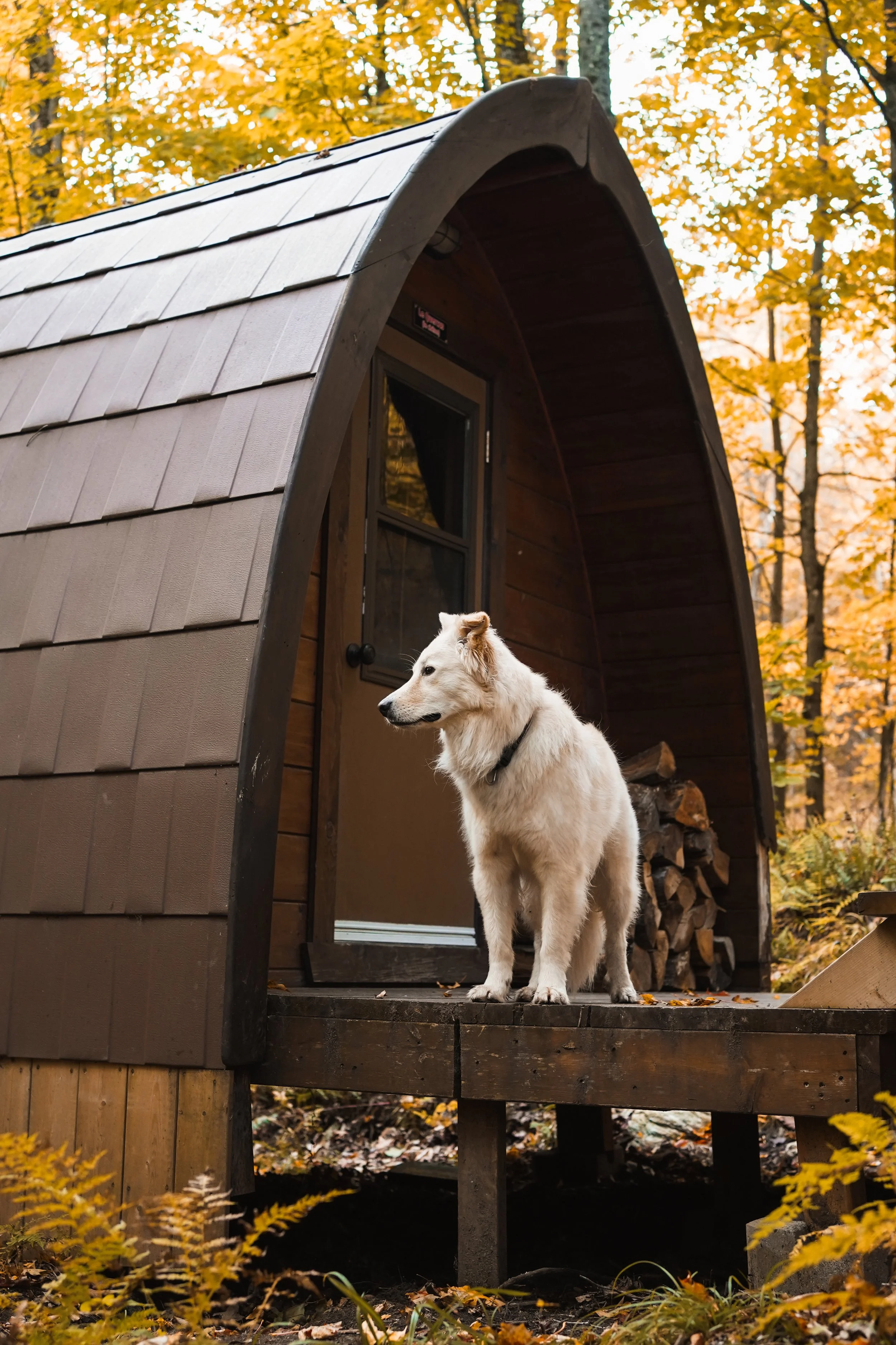[Estrie, North Hatley] Station Chêne Rouge 