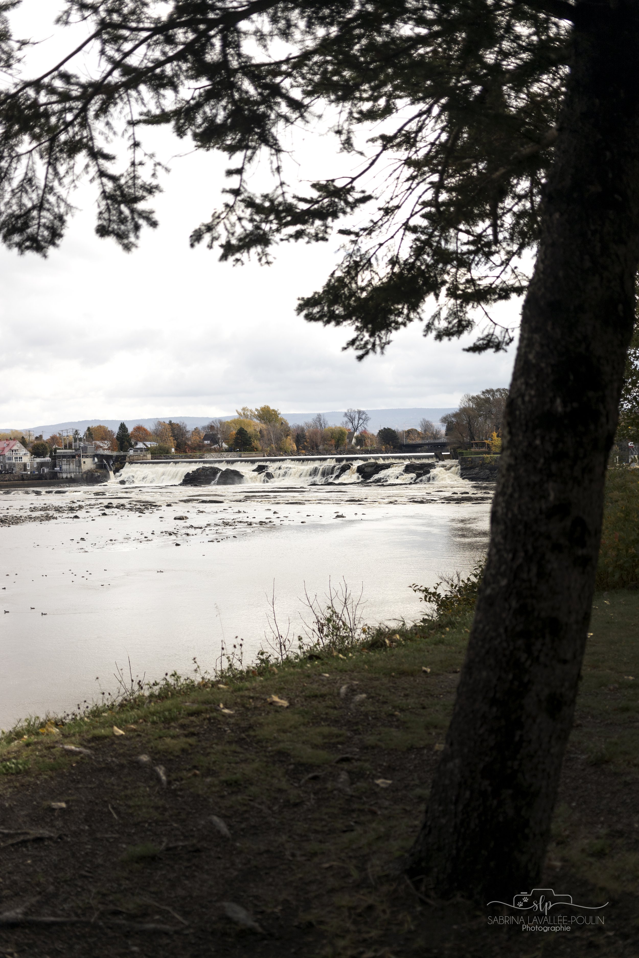 onvasepromener_quai boulanger_promenade du bassin _montmagy_chien_quoi faire (2).jpg