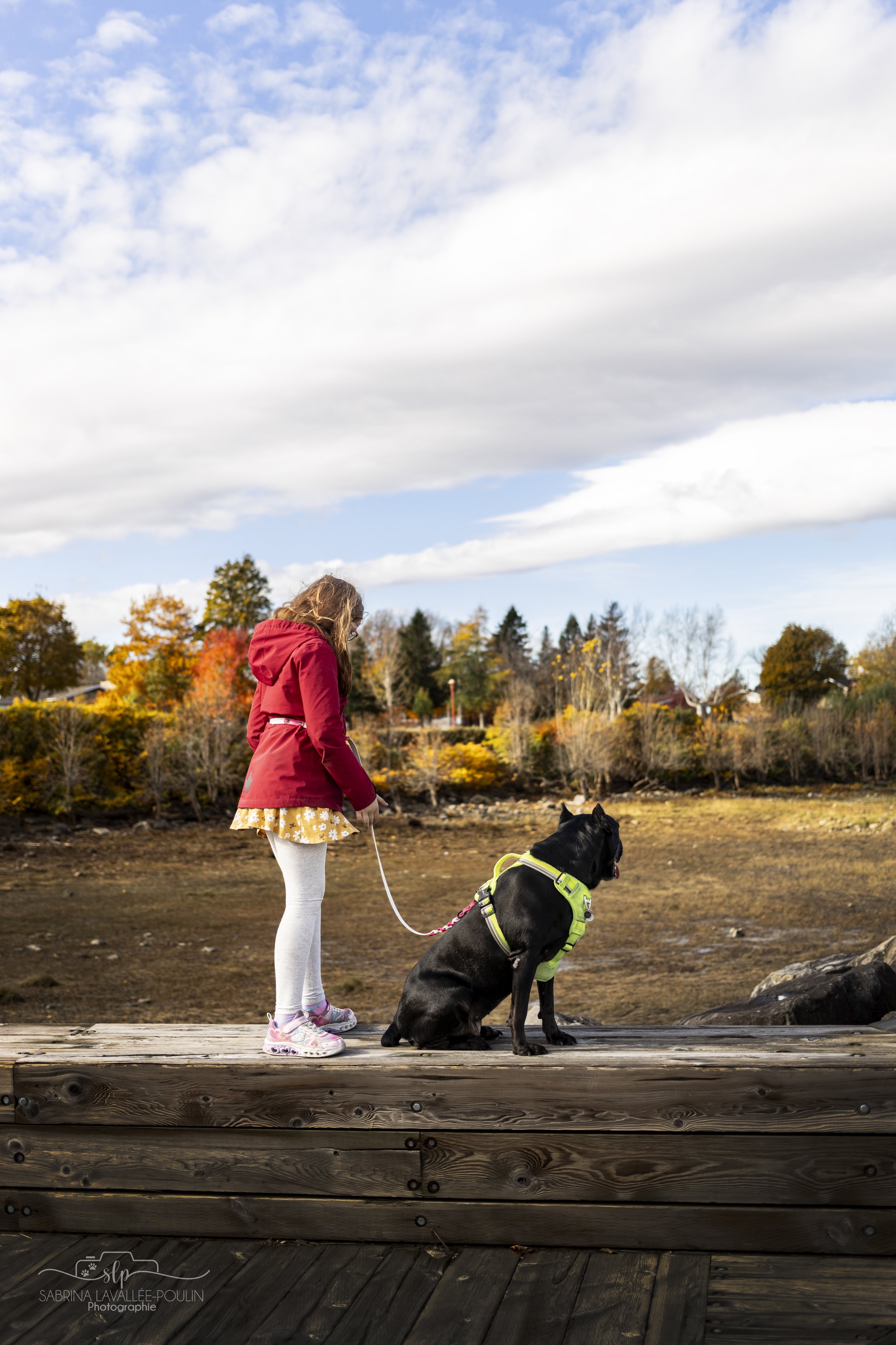 onvasepromener_quai boulanger_promenade du bassin _montmagy_chien_quoi faire (18).jpg