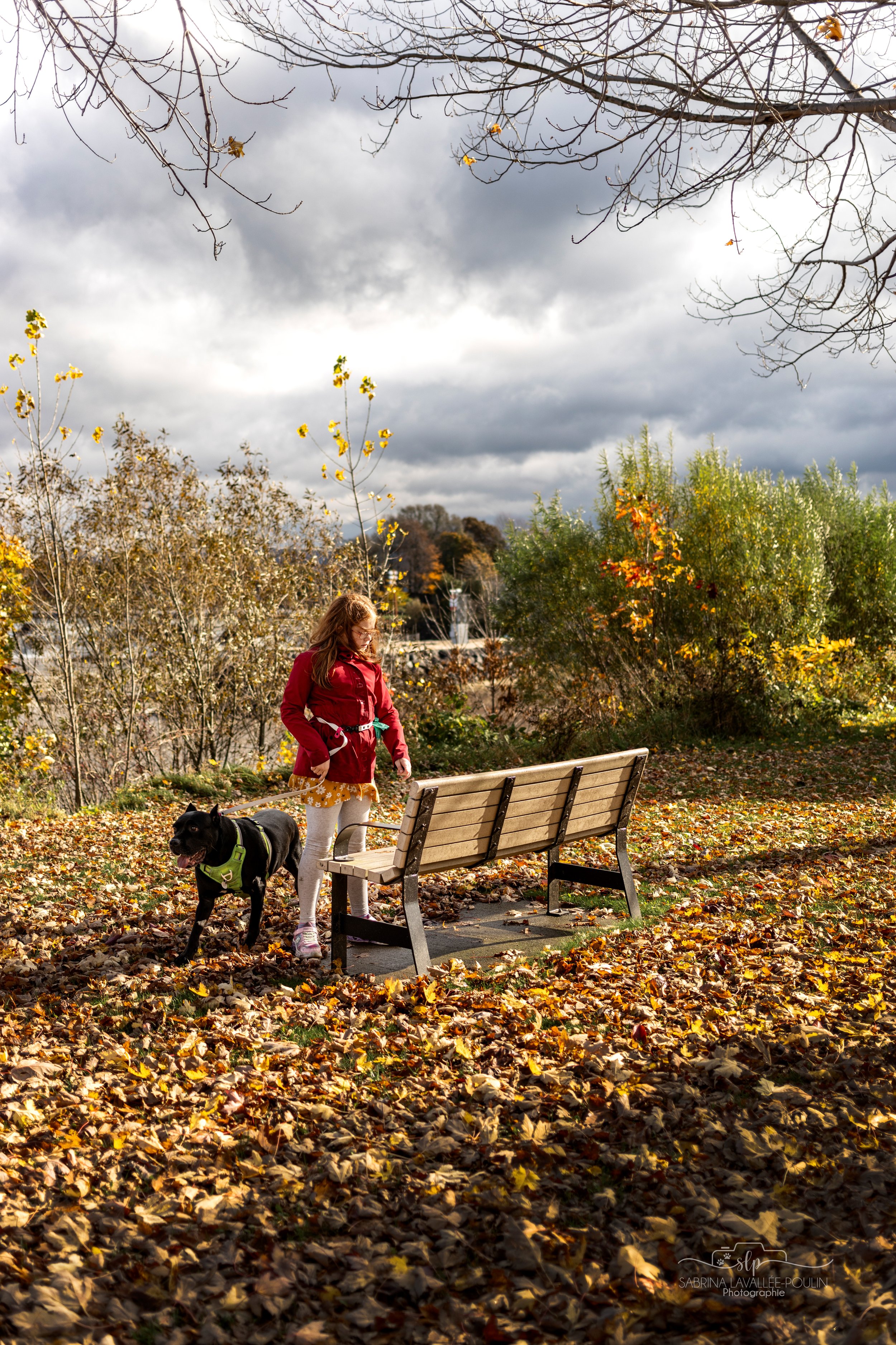 onvasepromener_quai boulanger_promenade du bassin _montmagy_chien_quoi faire (5).jpg