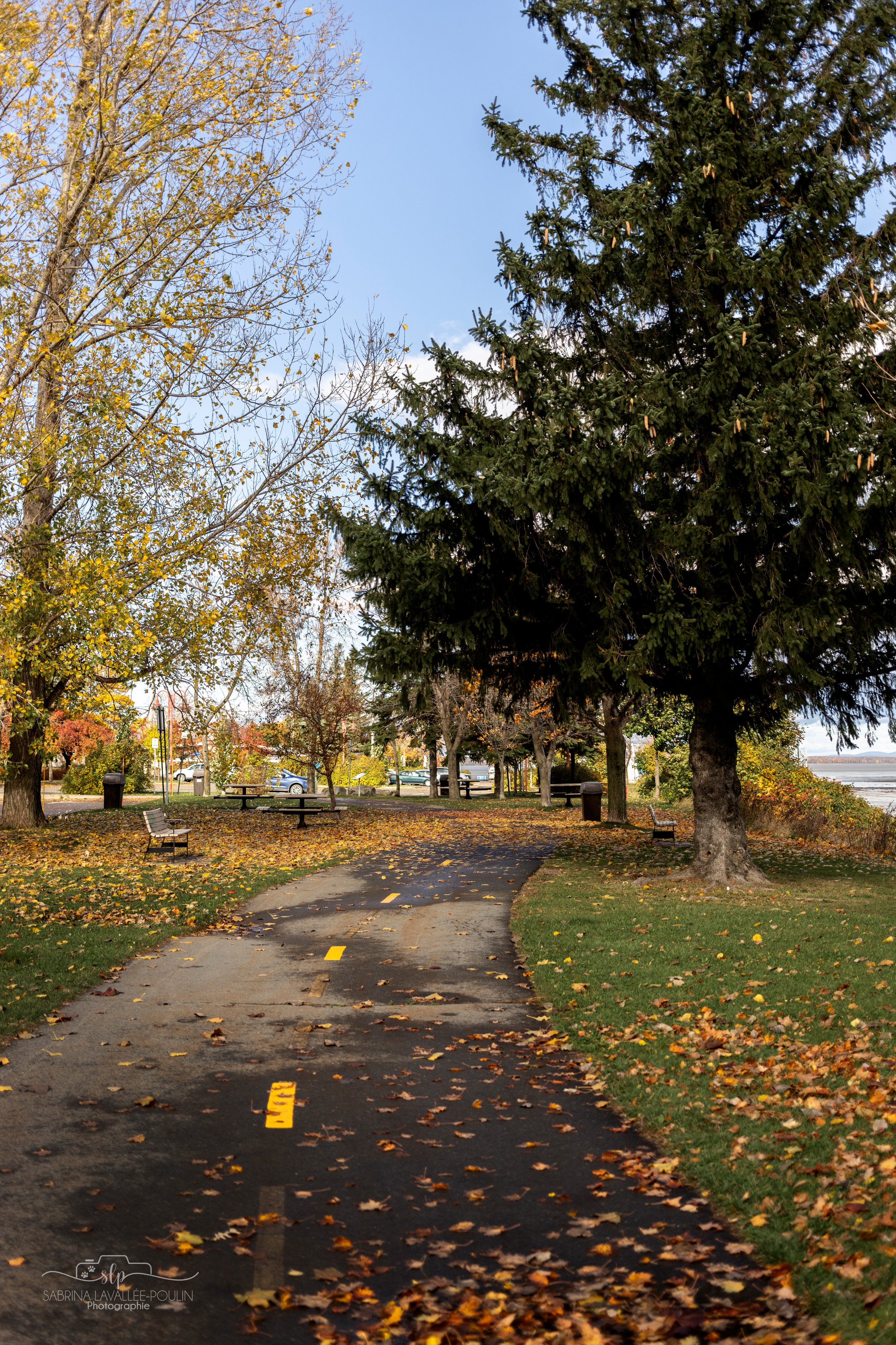 onvasepromener_quai boulanger_promenade du bassin _montmagy_chien_quoi faire (1).jpg