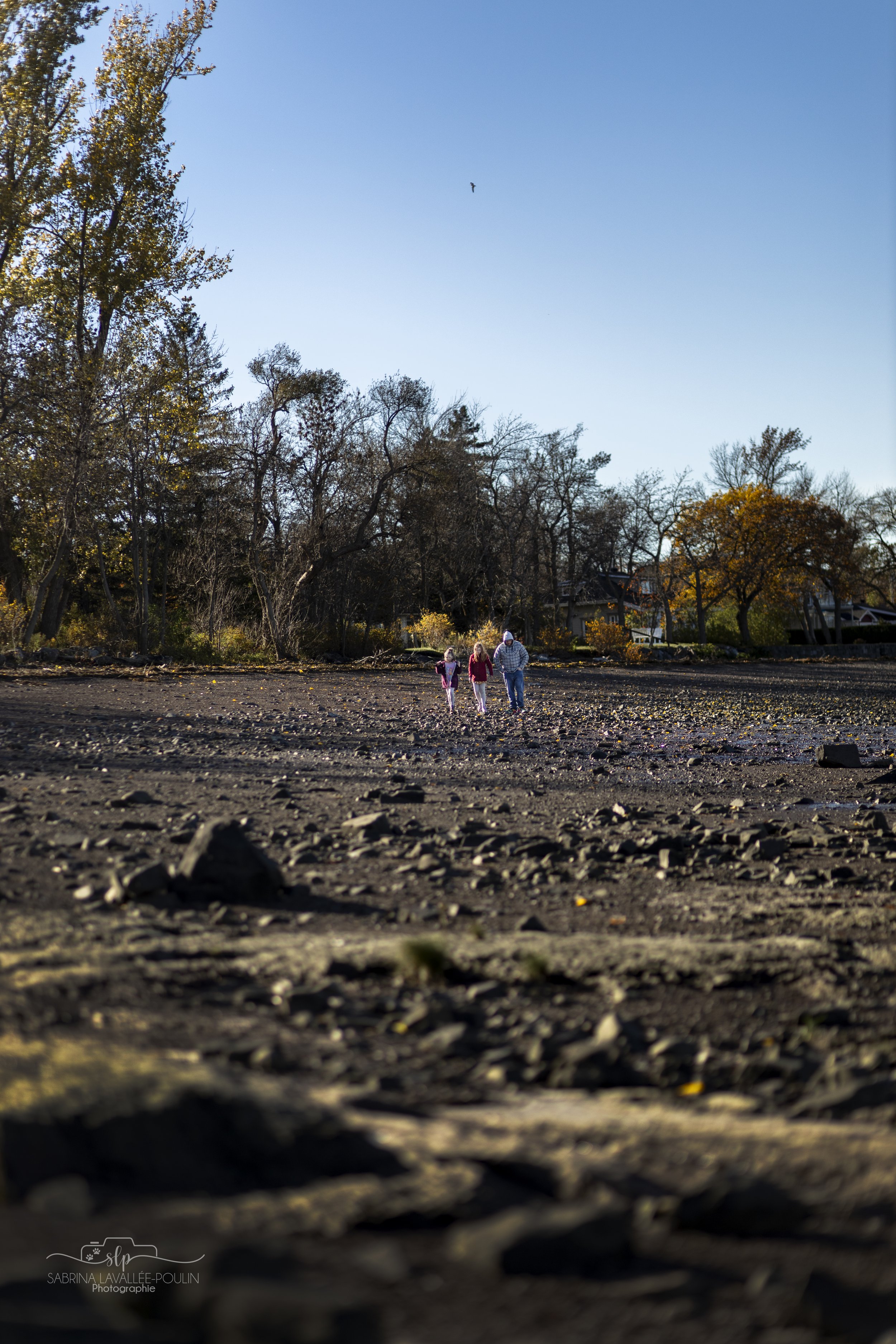 onvasepromener_chien_dormir_plage motel (29).jpg