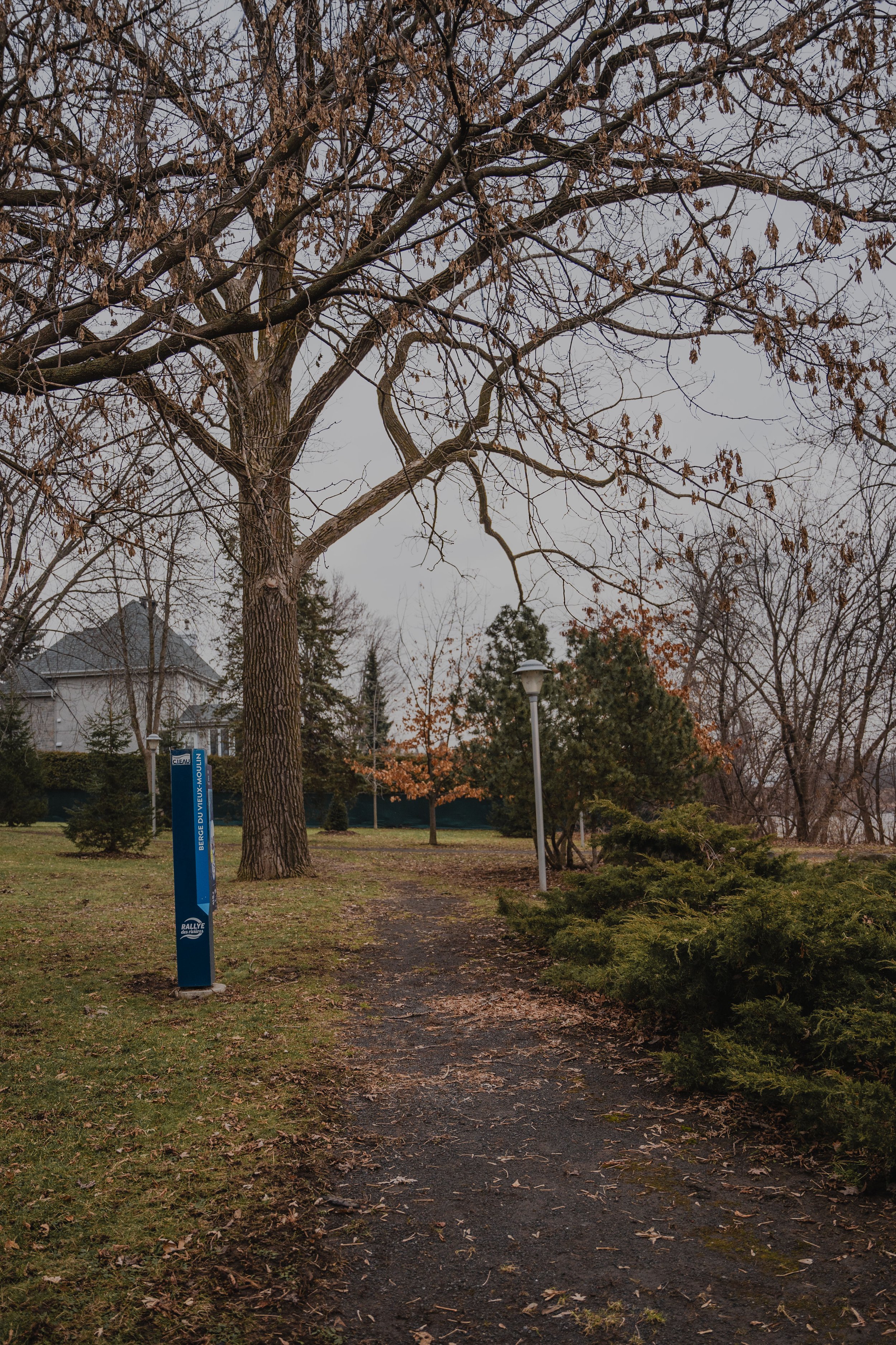 onvasepromener_laval_chien_quebec_Berge de l'Harmonie (7).jpg