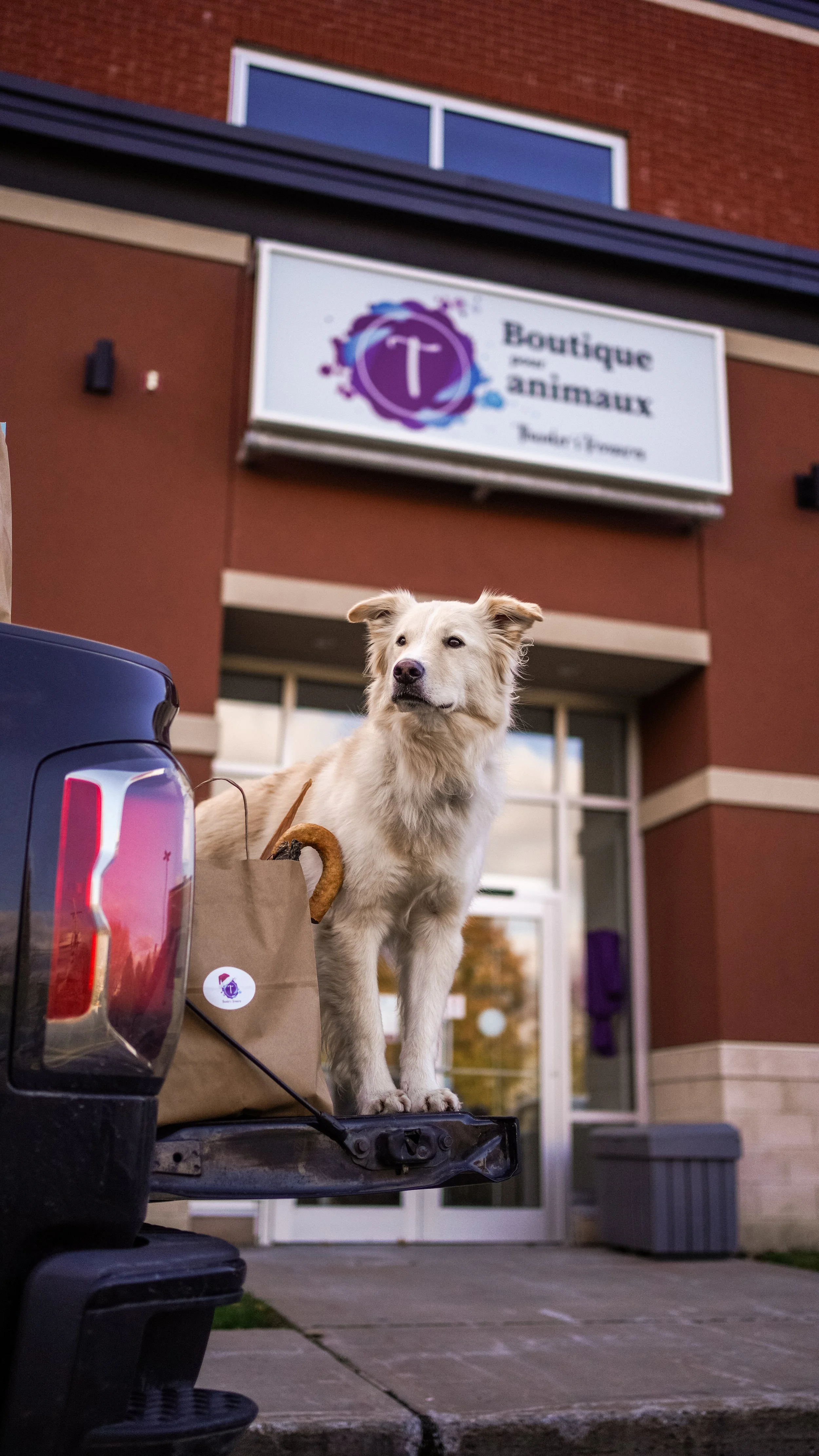 [Montérégie, Boucherville] Thunder’s Treasures