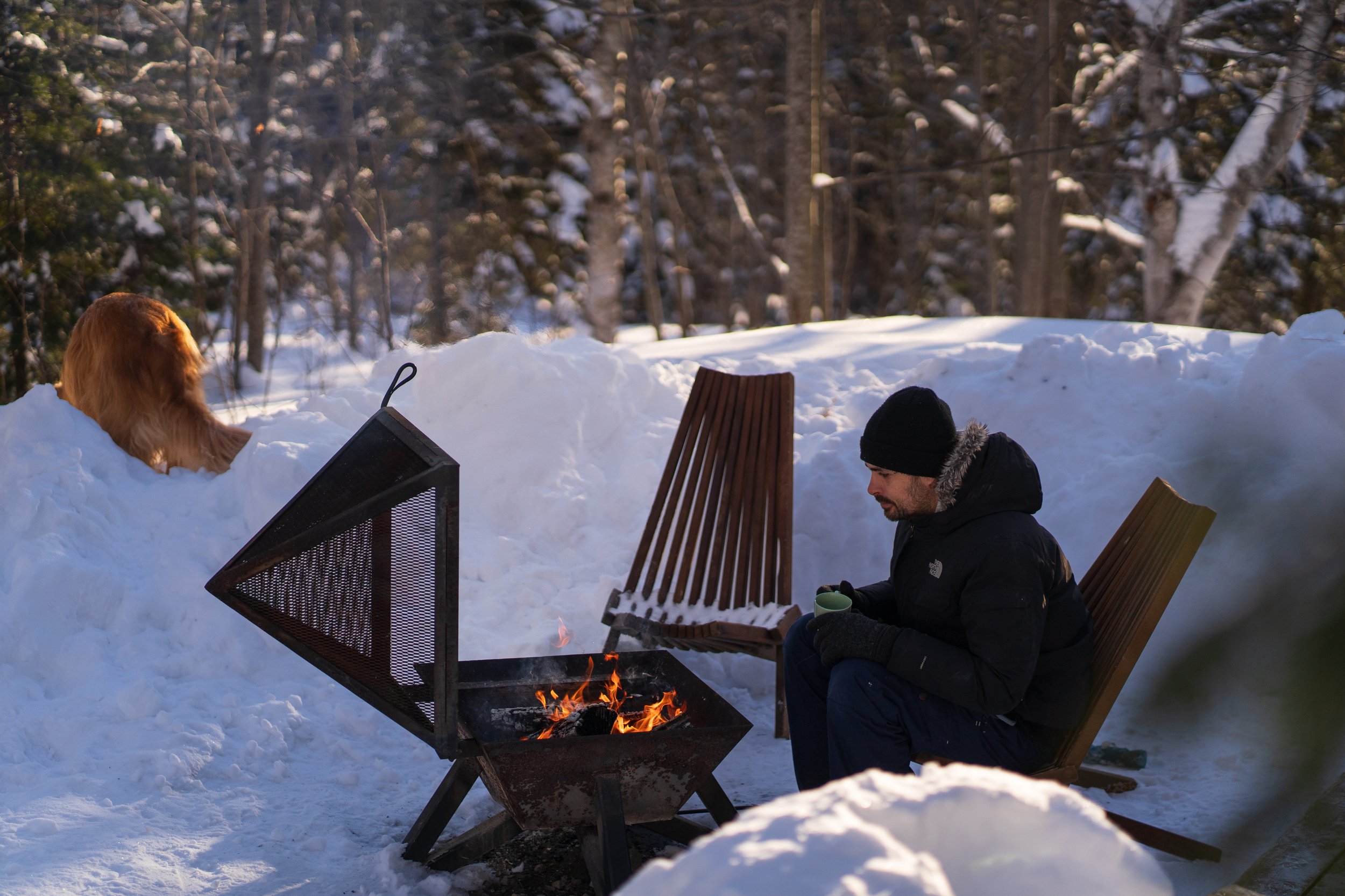 repere_boreal_onvasepromener_chien_quebec_charlevoix_hebergement (13).jpg