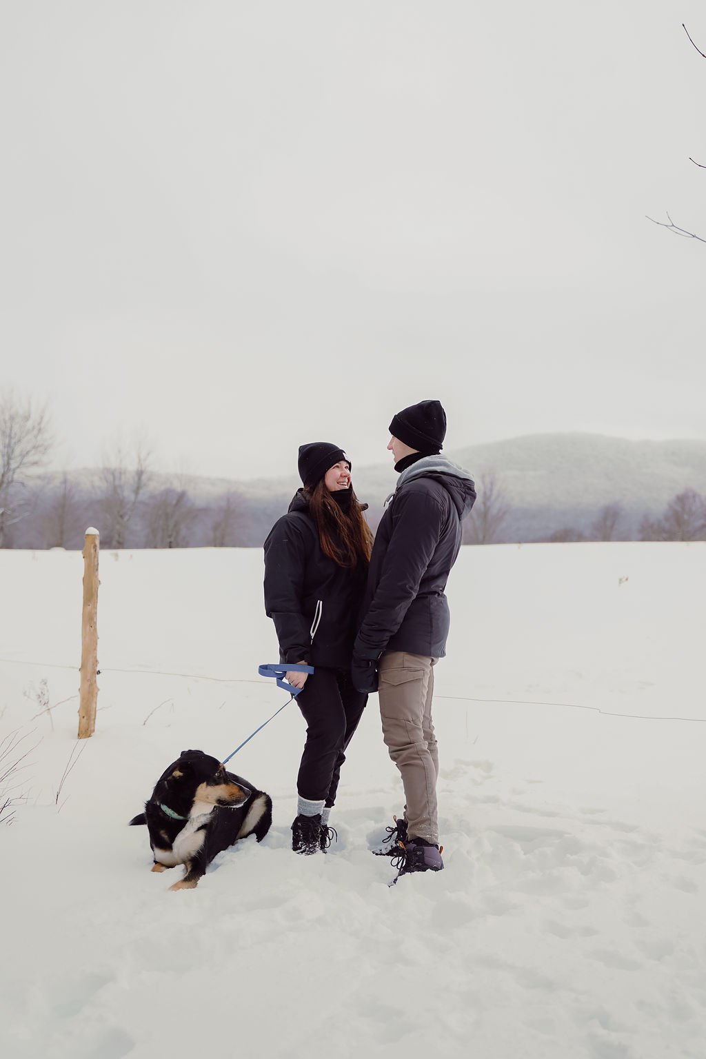 chien_megantic_domaine nova_hébergement_quebec (98).jpg