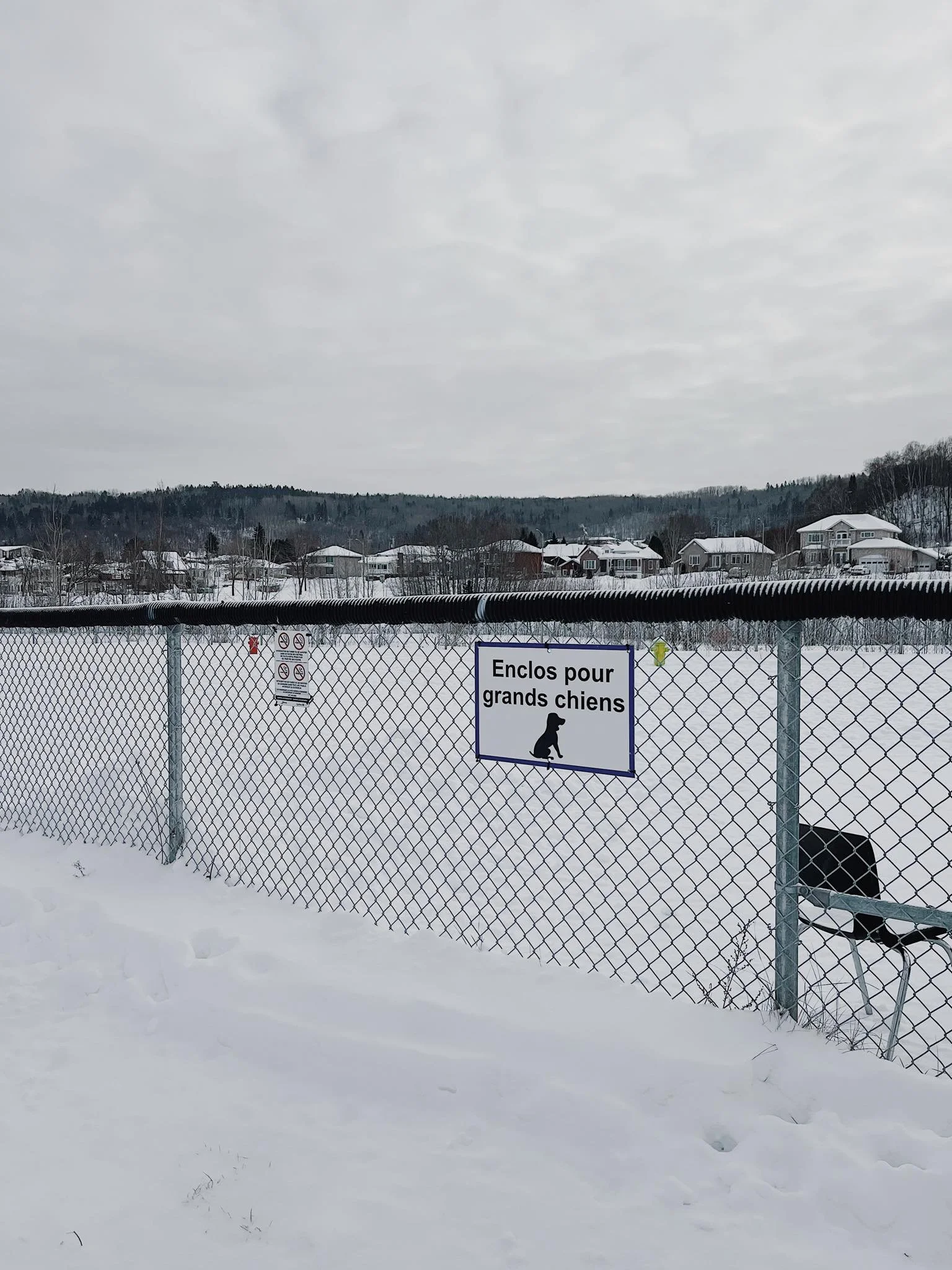 [Sag.-Lac, La Baie] Parc à chien La Baie