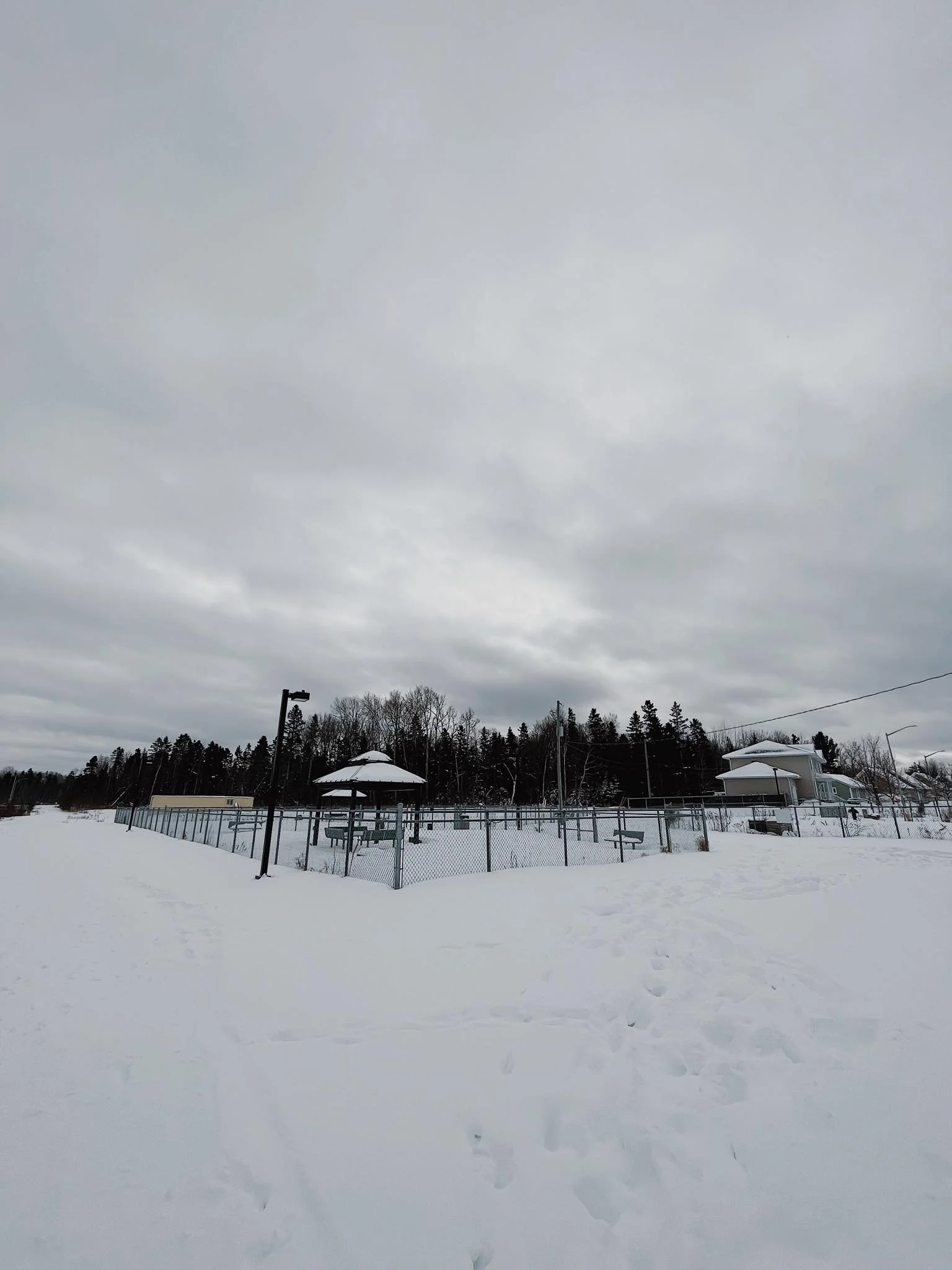 [Sag.-Lac., La Baie] Parc à Chien Du Jardin De La Victoire