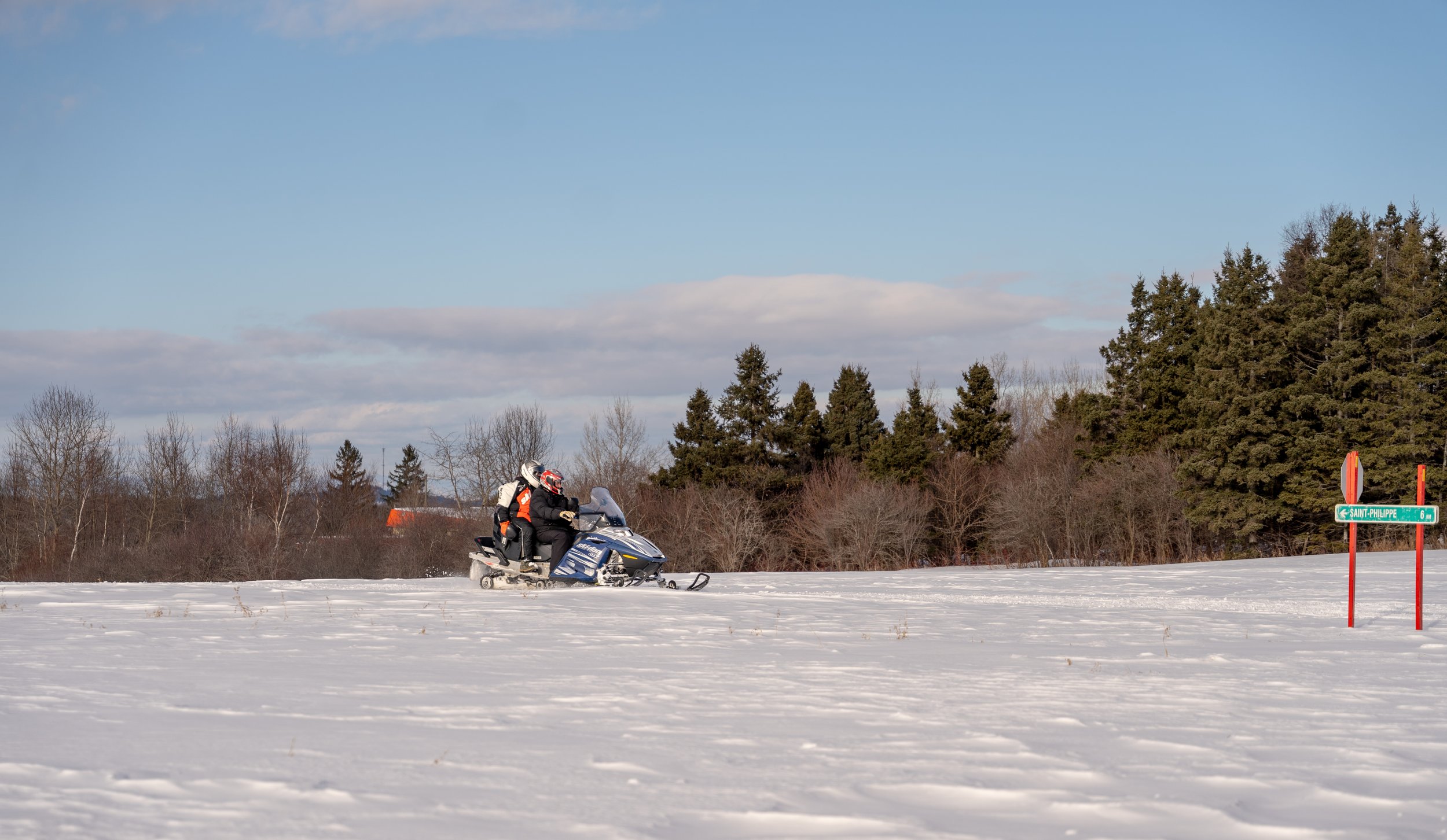 chien_hébergement_chaudière-appalaches_onvasepromener_chalet (4).jpg