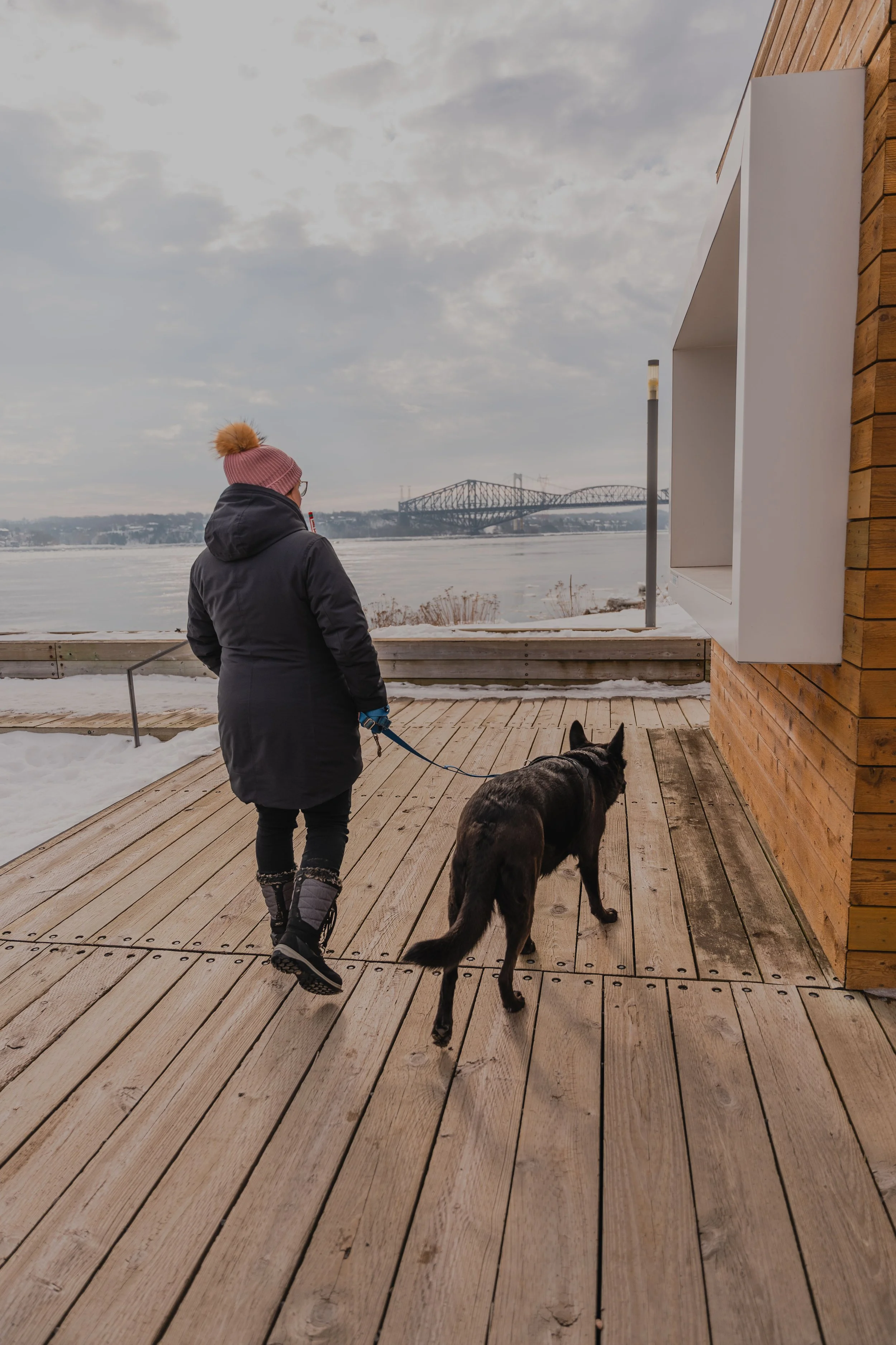 parc des cageux_chien_sentier_samuel de champlain_quebec (1).jpg