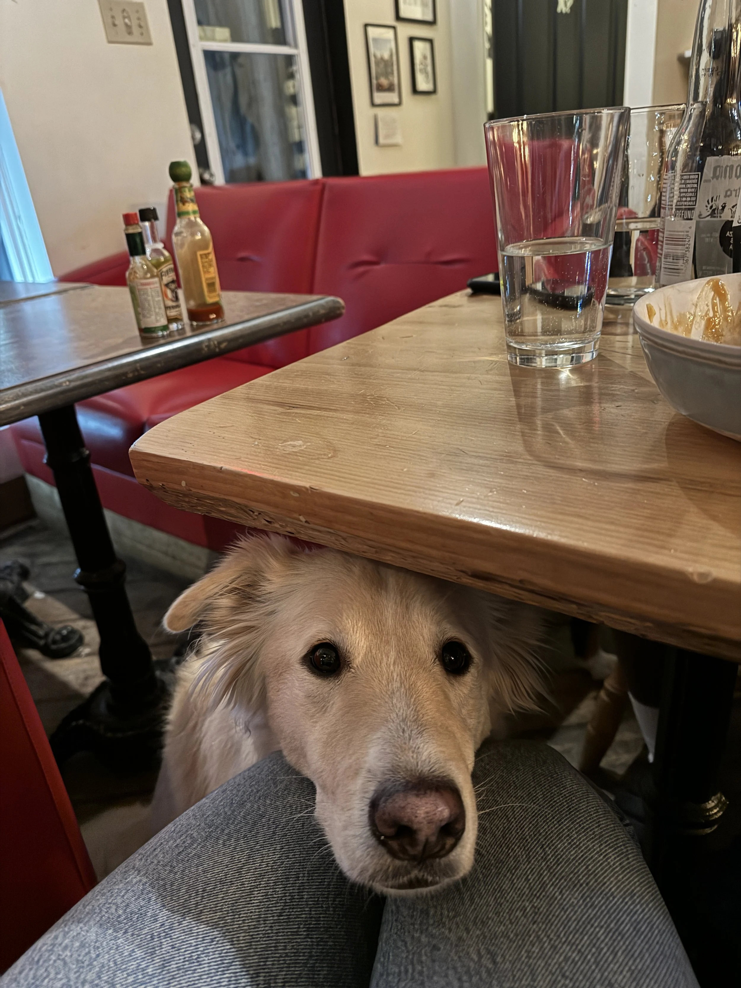 [Qc, Saint-Ferréol-les-Neiges] Le Shack à Patates