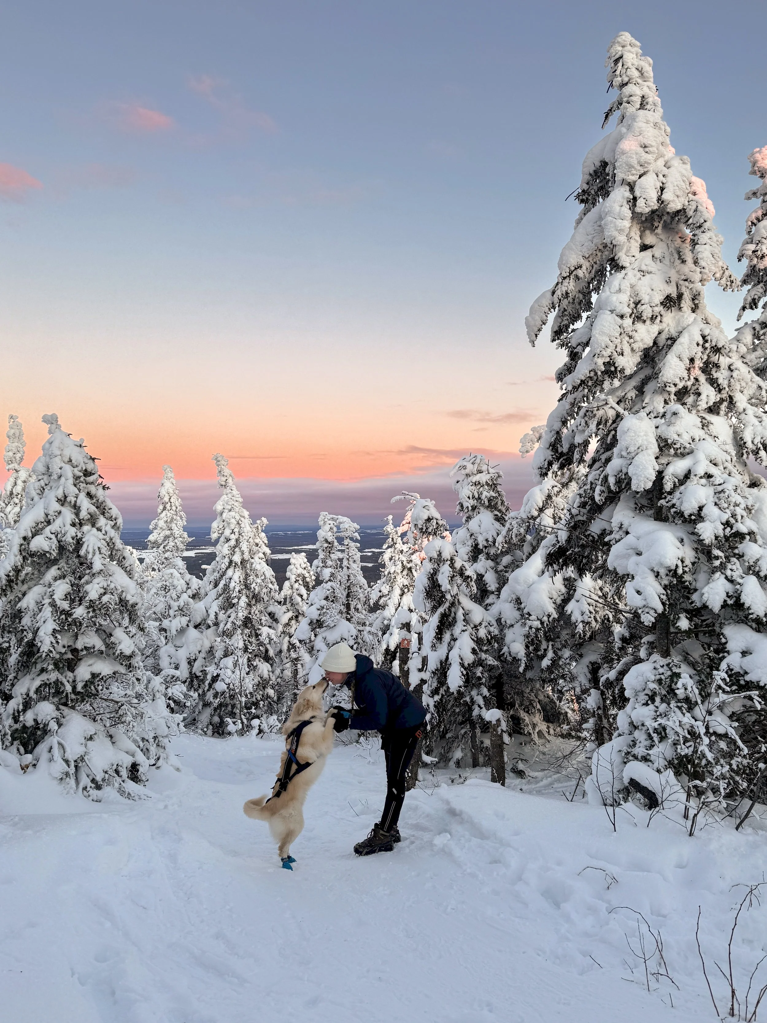 [Chaud.-App., Adstock] Mont Adstock