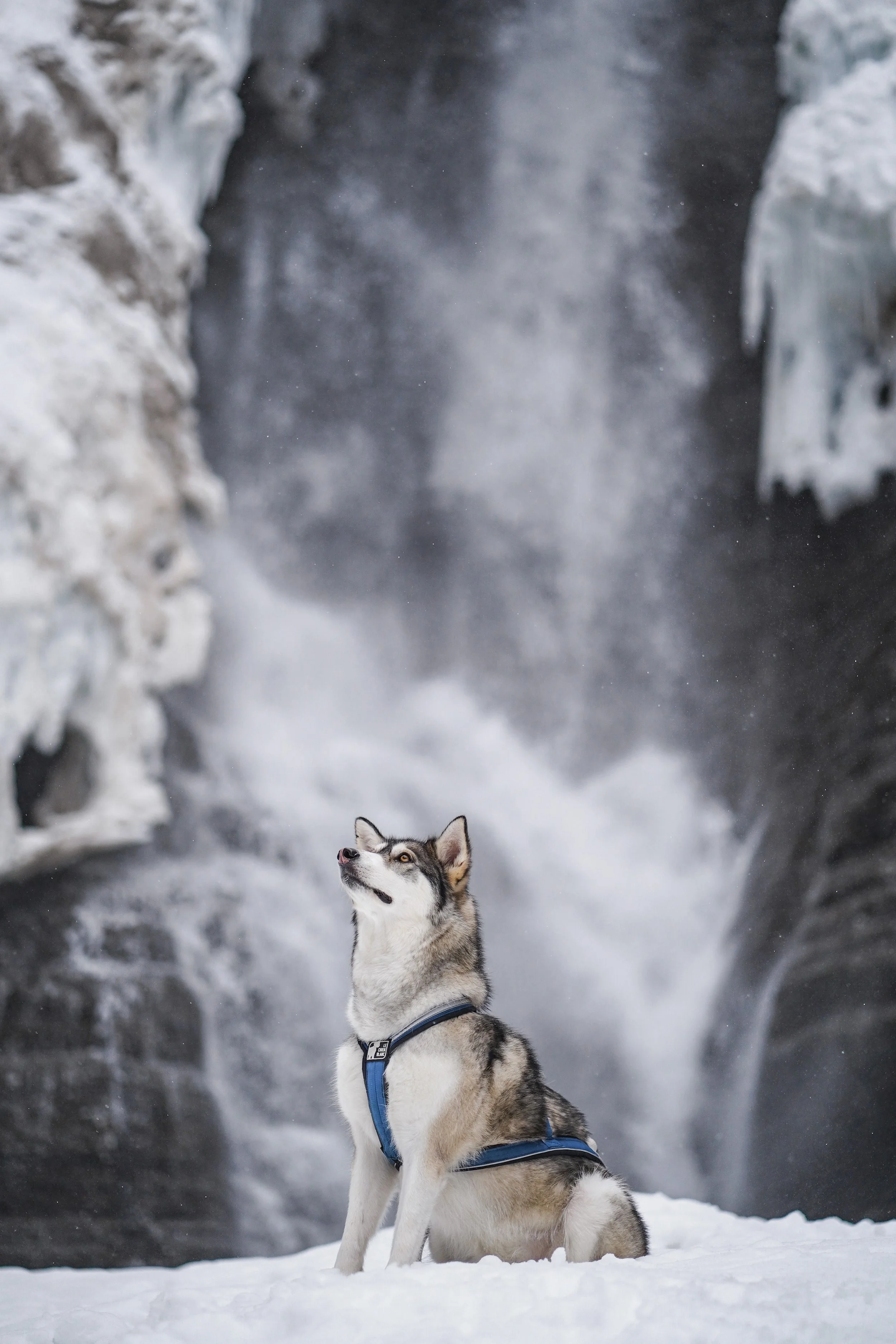 [Qc, Beaupré] Station du Mont Sainte-Anne – Secteur Jean Larose