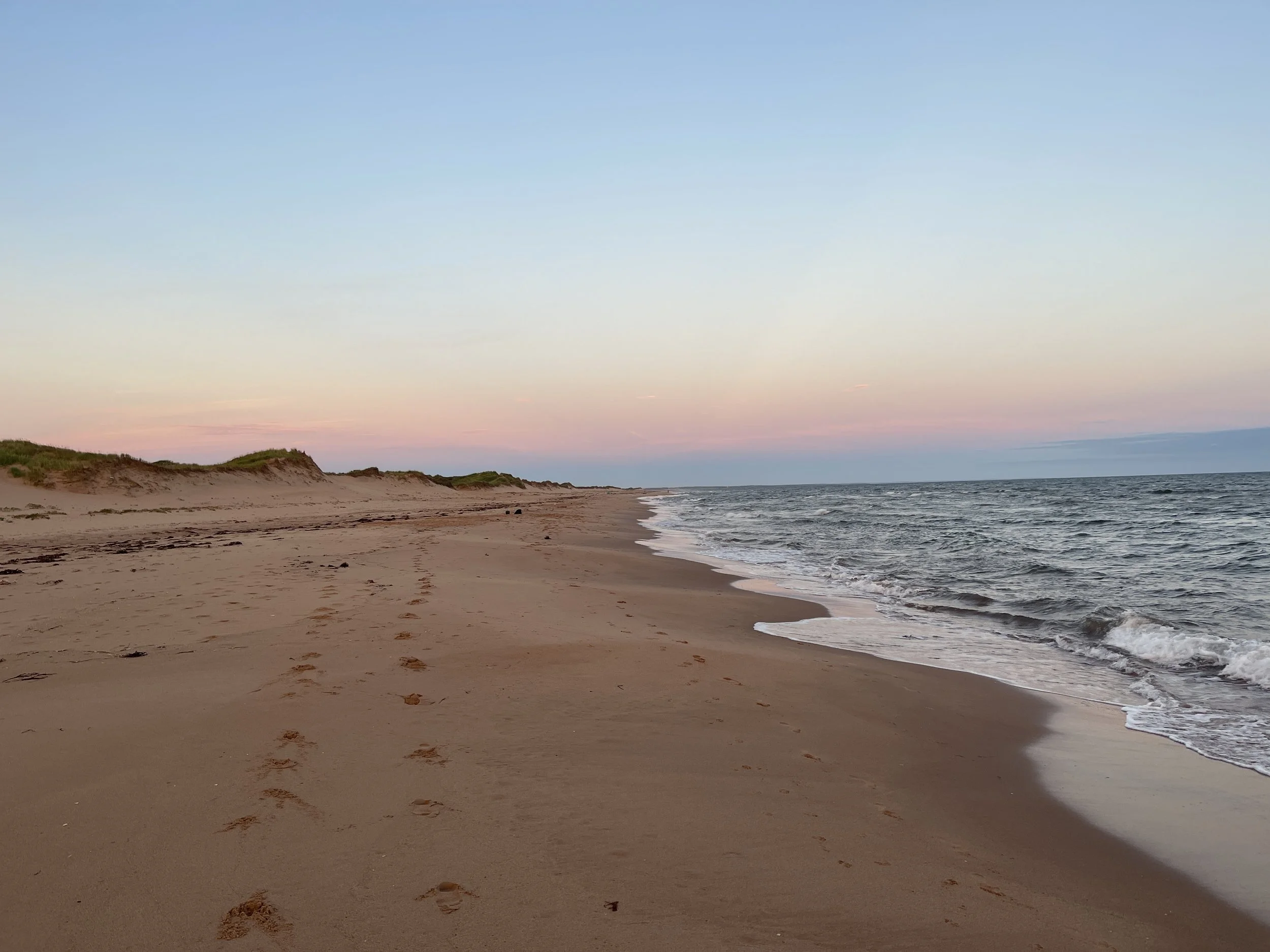 [IPE, Mount Stewart] Blooming Point Beach