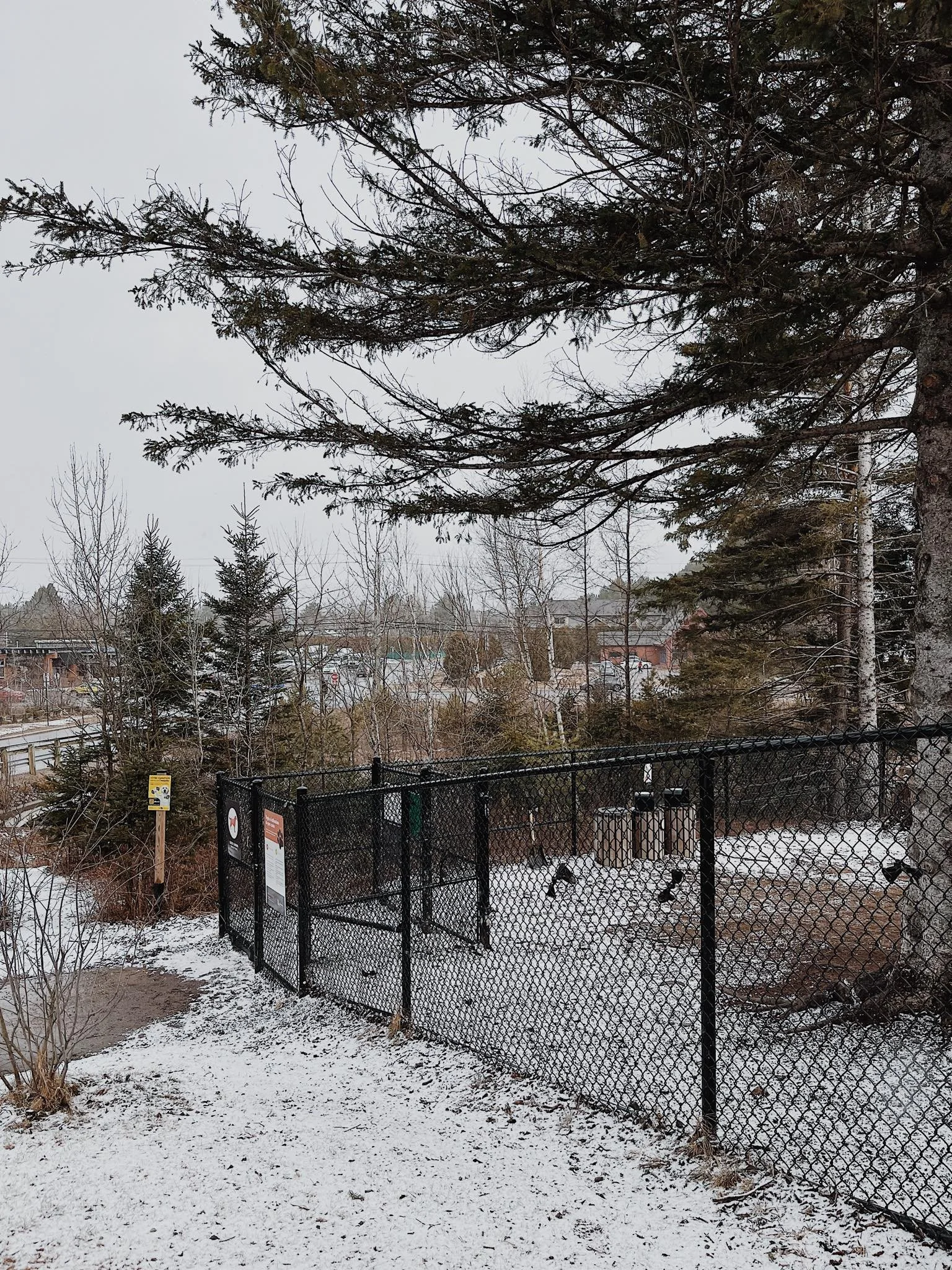 [Laurentides, Mont-Tremblant] Parc canin du Ruisseau-Clair