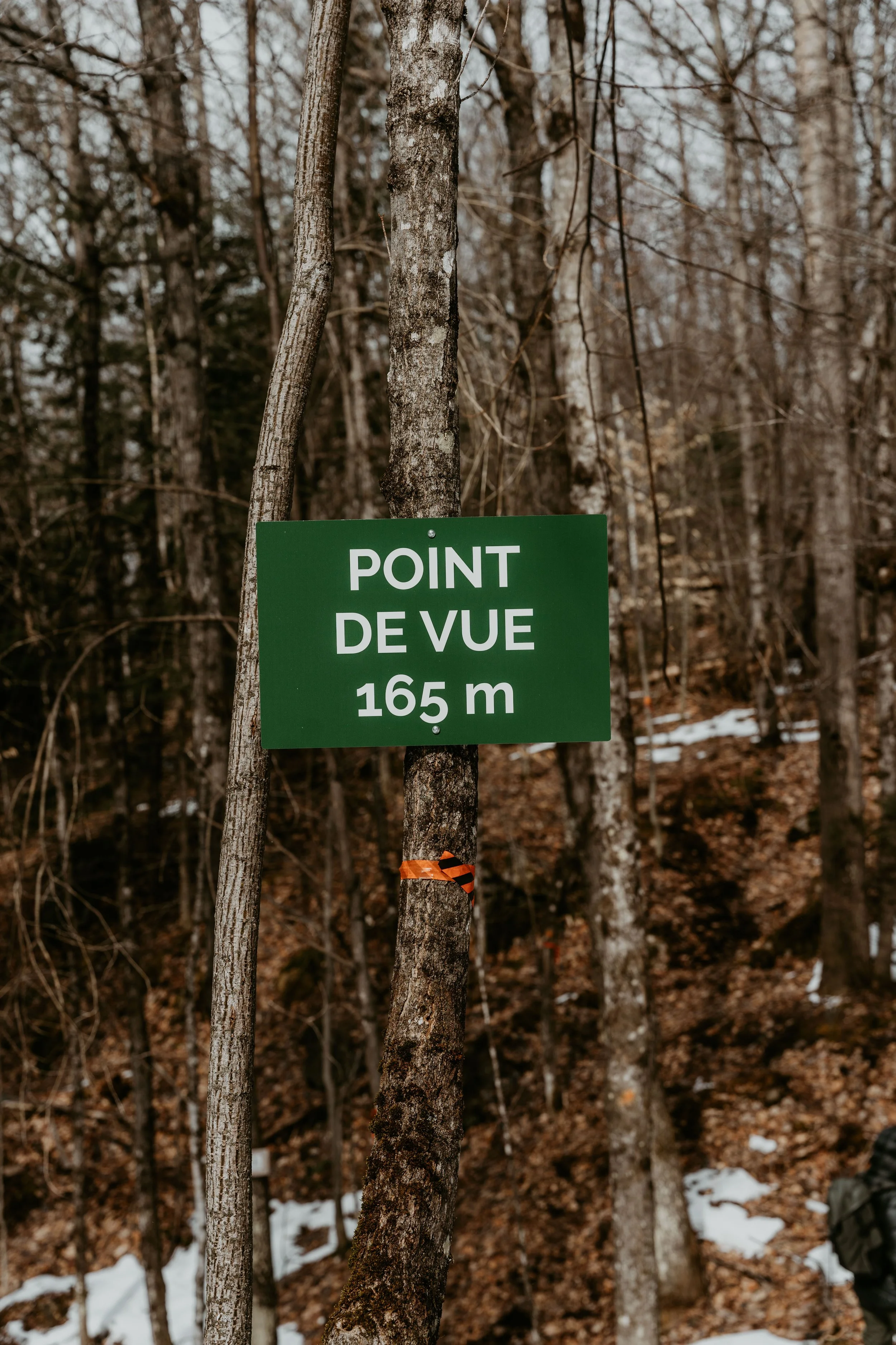 [Laurentides, La Minerve] Sentiers Poupart et des Sucres — On va se ...