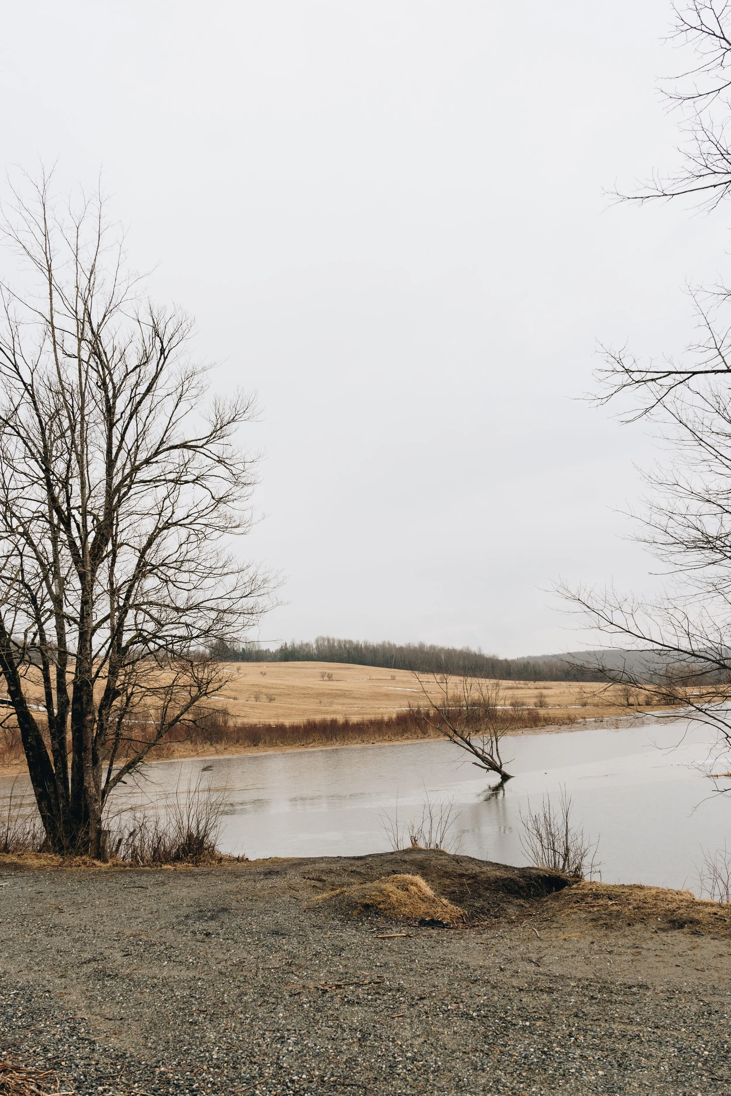 [Estrie, Waterville] Pont couvert d'Eustis — On va se promener?