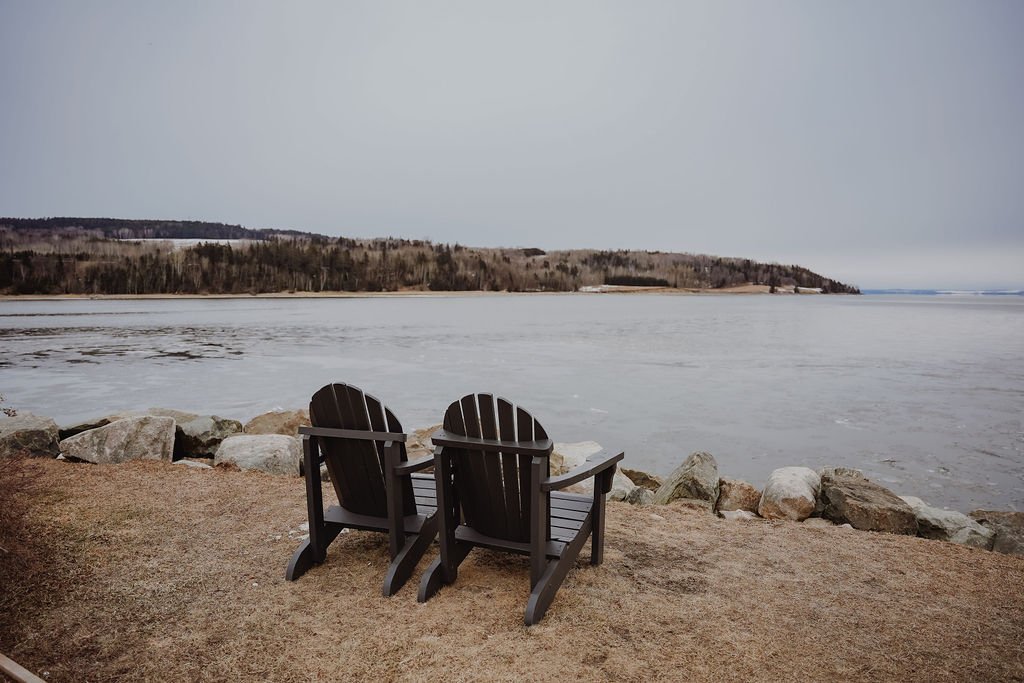 chien_malbaie_charlevoix_parc_sentier_onvasepromener (6).jpg