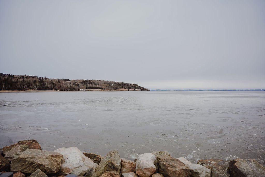 chien_malbaie_charlevoix_parc_sentier_onvasepromener (7).jpg