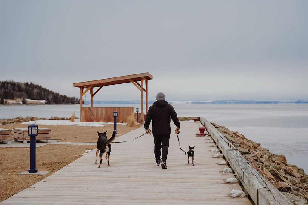 chien_malbaie_charlevoix_parc_sentier_onvasepromener (10).jpg