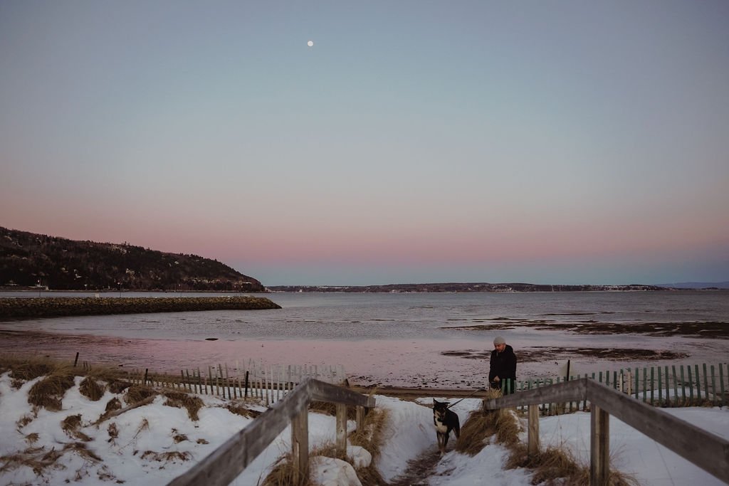 baie saint-pula_charlevoix_chien_plage_onvasepromener (6).jpg