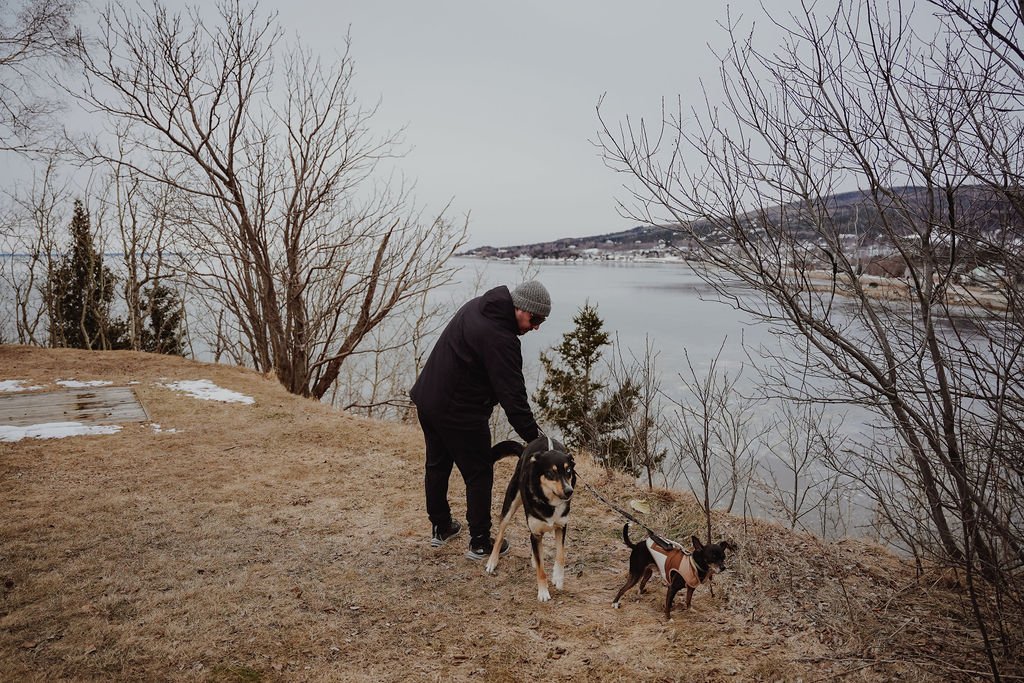 la malbaie_chien_halte_onvasepromener_charlevoix (9).jpg