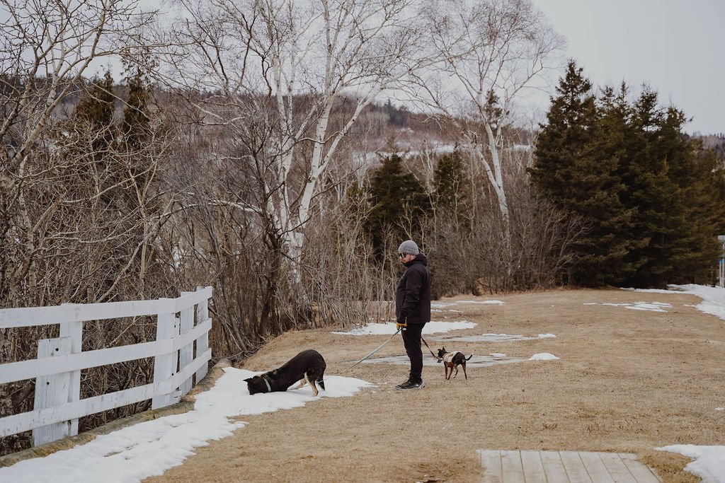 la malbaie_chien_halte_onvasepromener_charlevoix (2).jpg