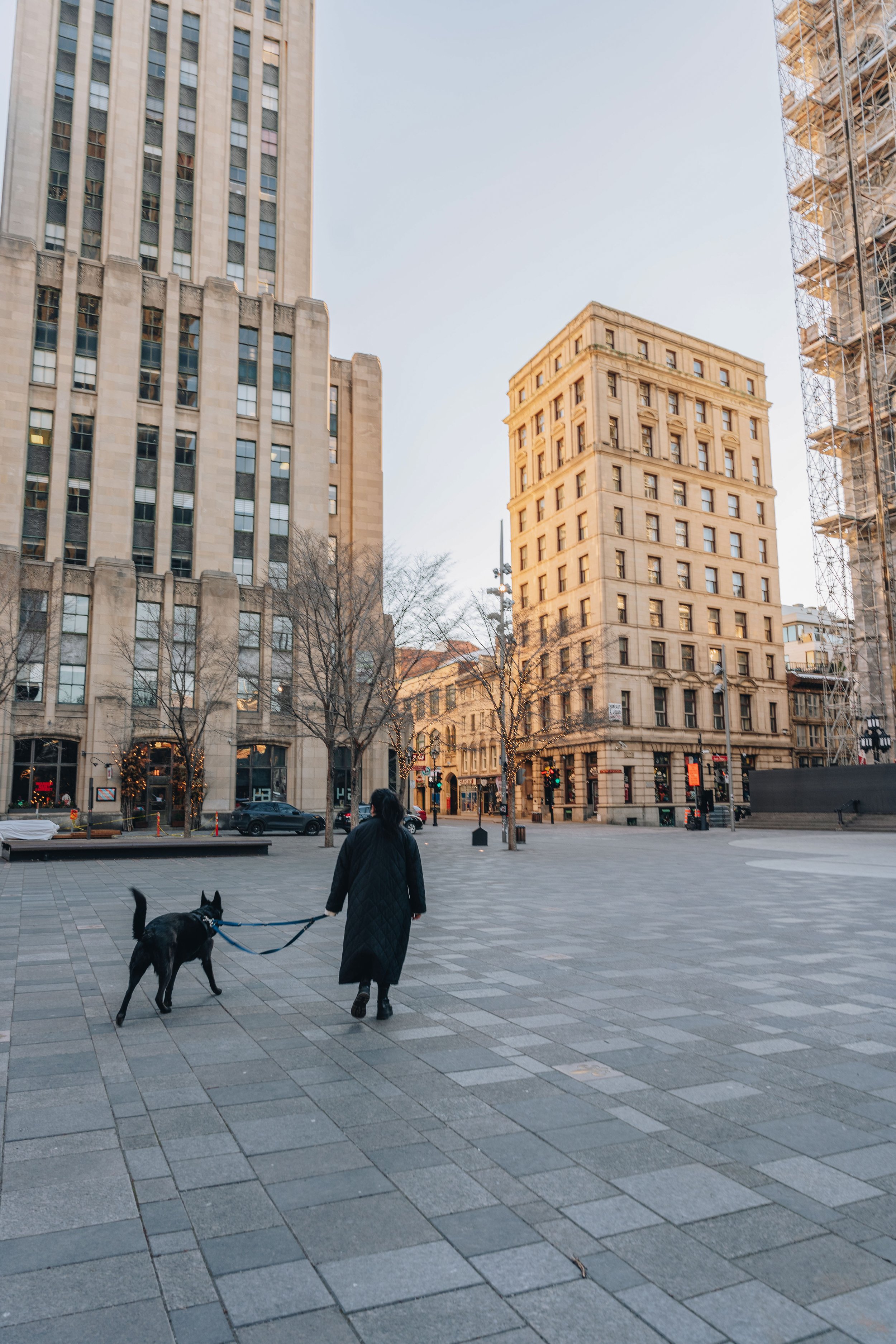 onvasepromener_vieux-montreal_chien (13).jpg