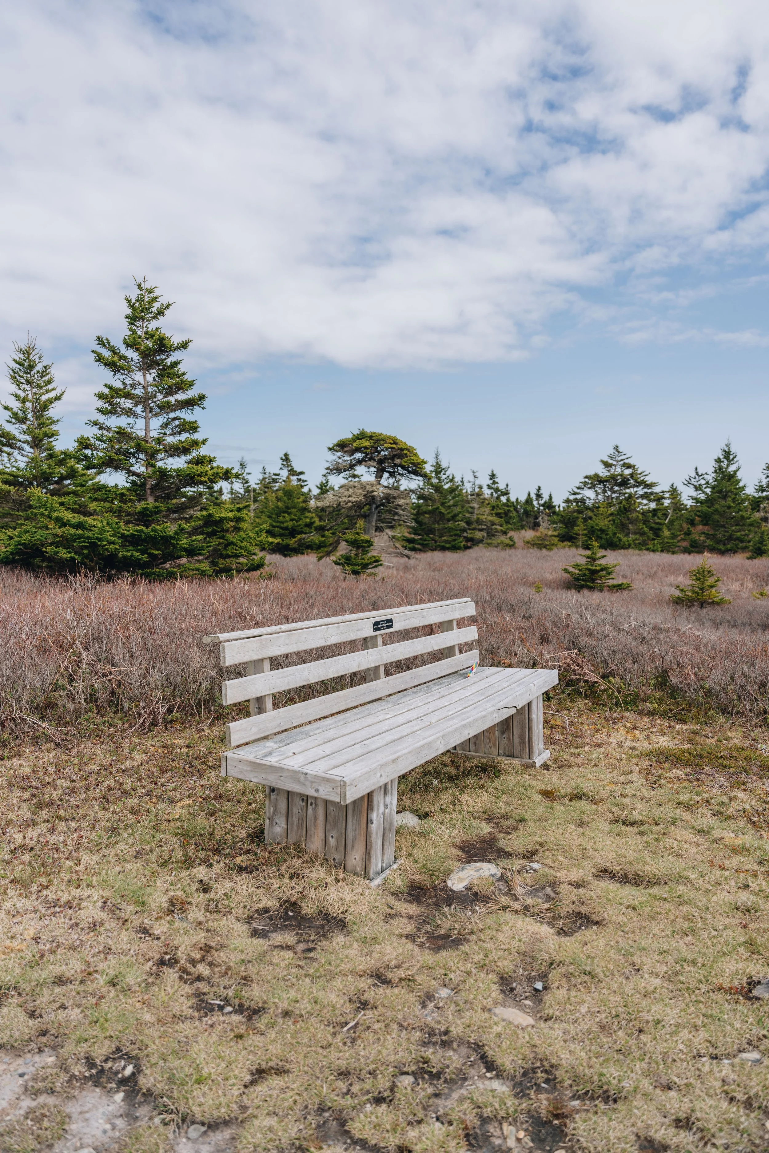 [NÉ, Pubnico] Pubnico Point Trail — On va se promener?