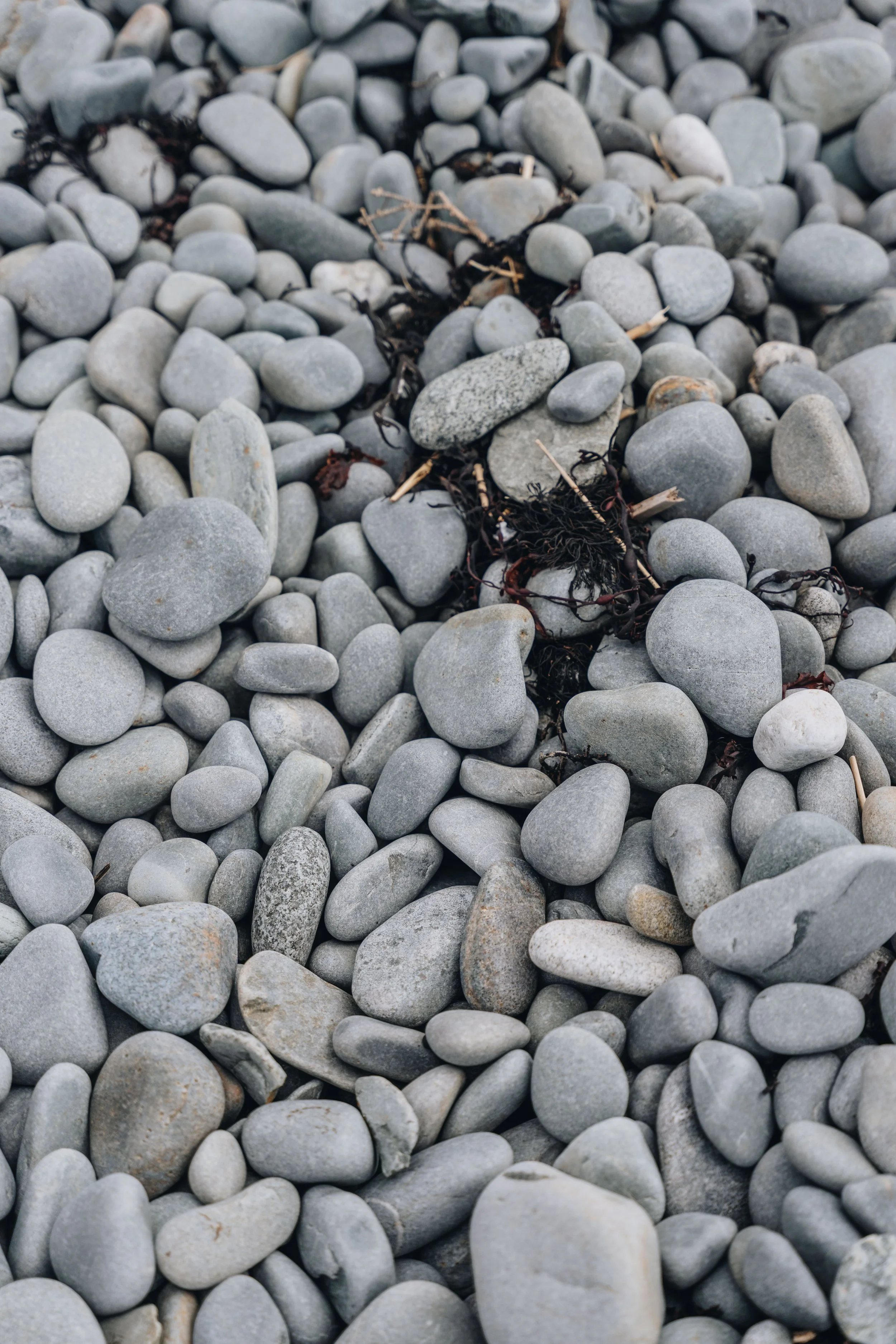 [NÉ, Pubnico] Pubnico Harbour Lighthouse — On va se promener?