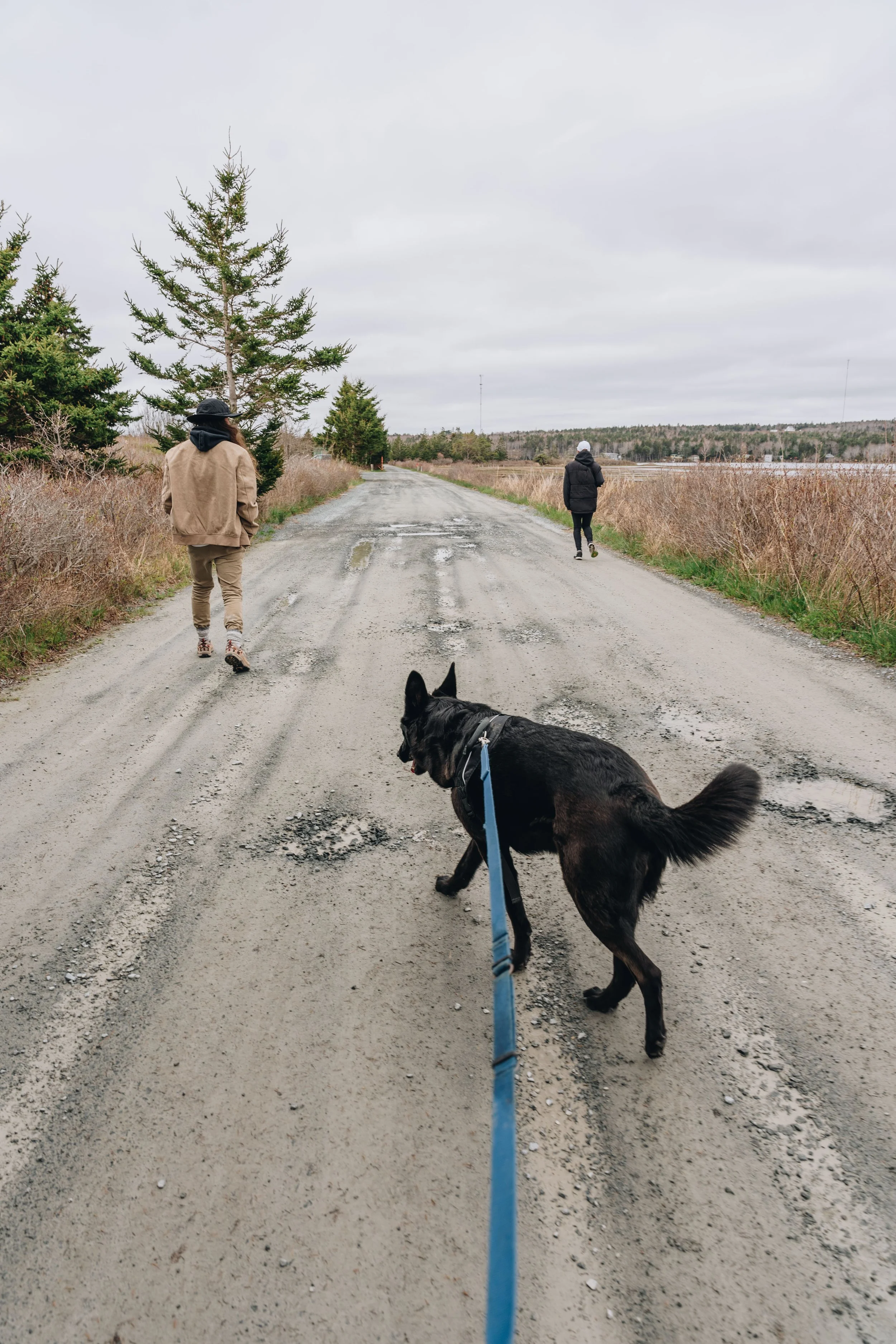 [NÉ, Port Mouton] Parc provincial Summerville Beach — On va se promener?