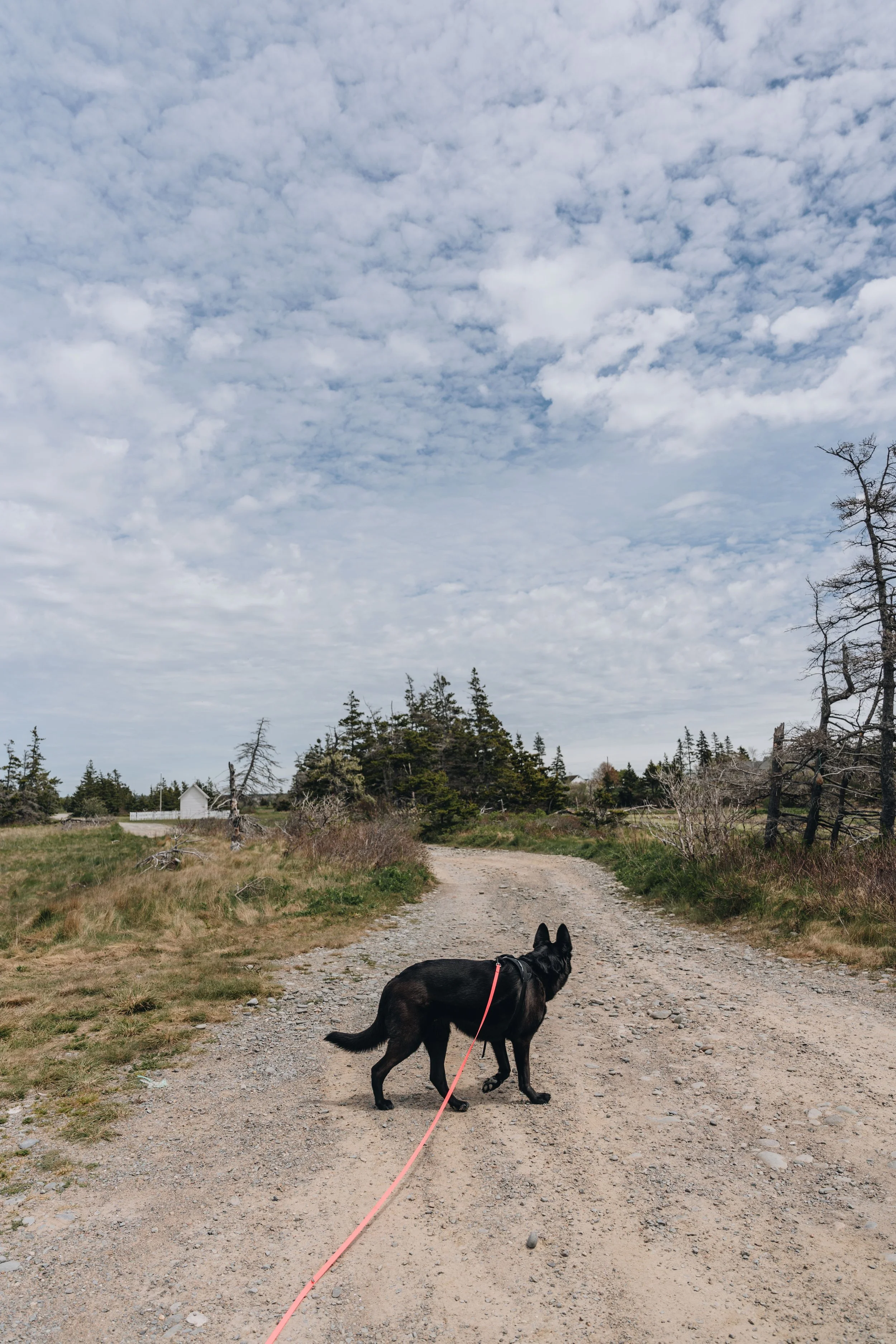 [N-É, Church Point] Pointe-à-Major site historique — On va se promener?