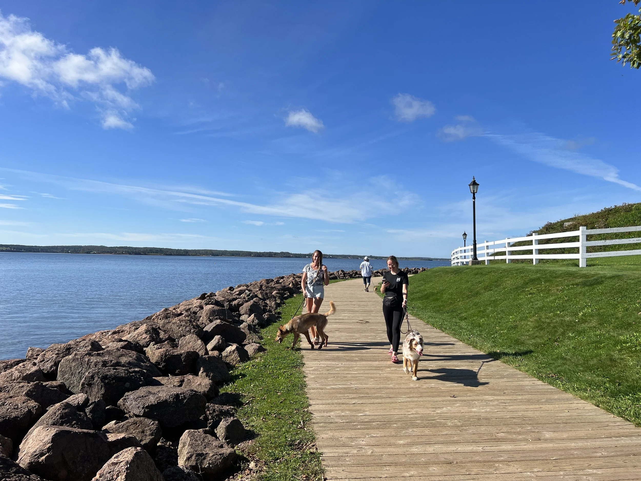 [IPE, Charlottetown] The Victoria Park trail