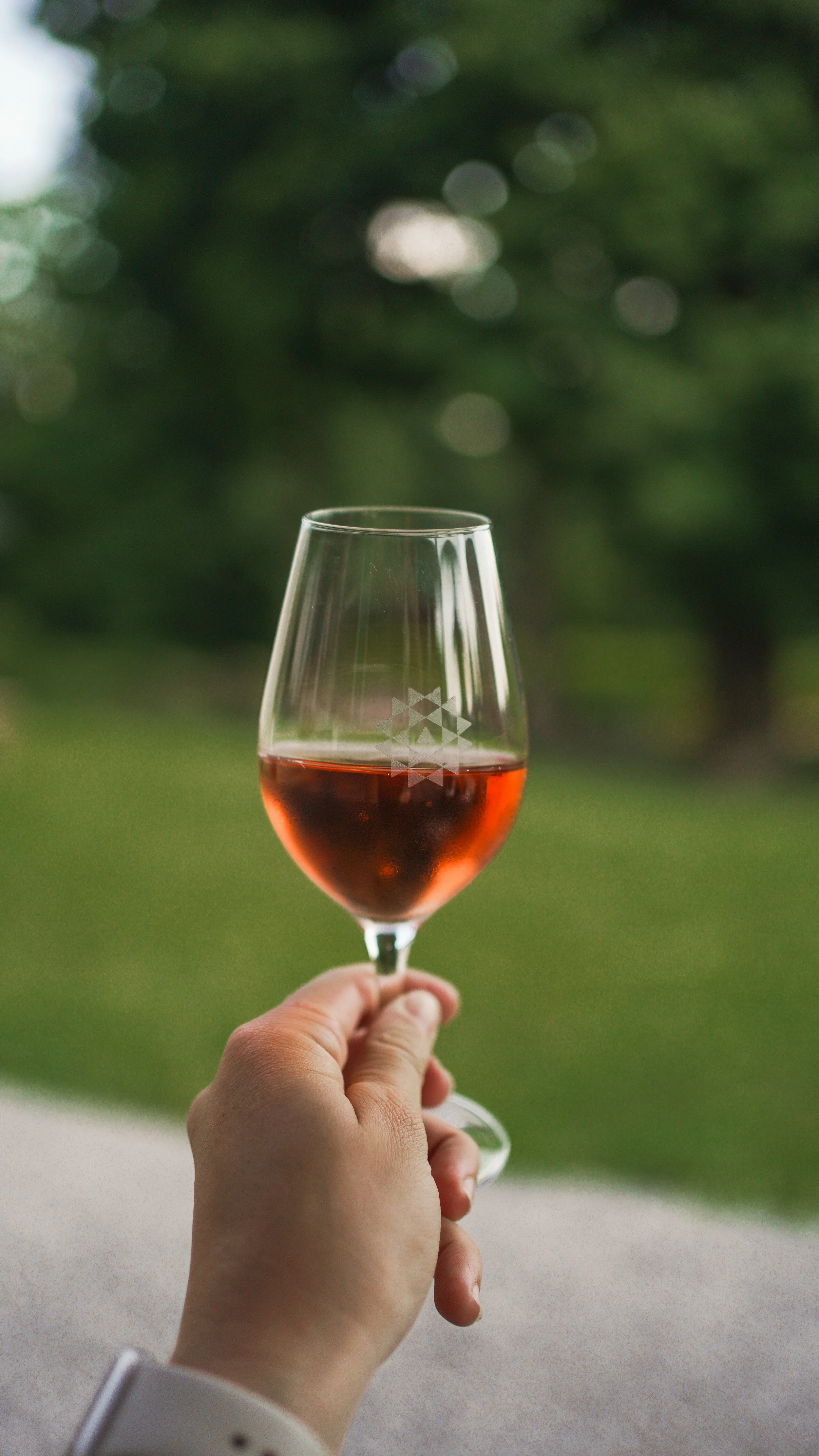 [Montérégie, Saint-Blaise-sur-Richelieu] Domaine Amalgames