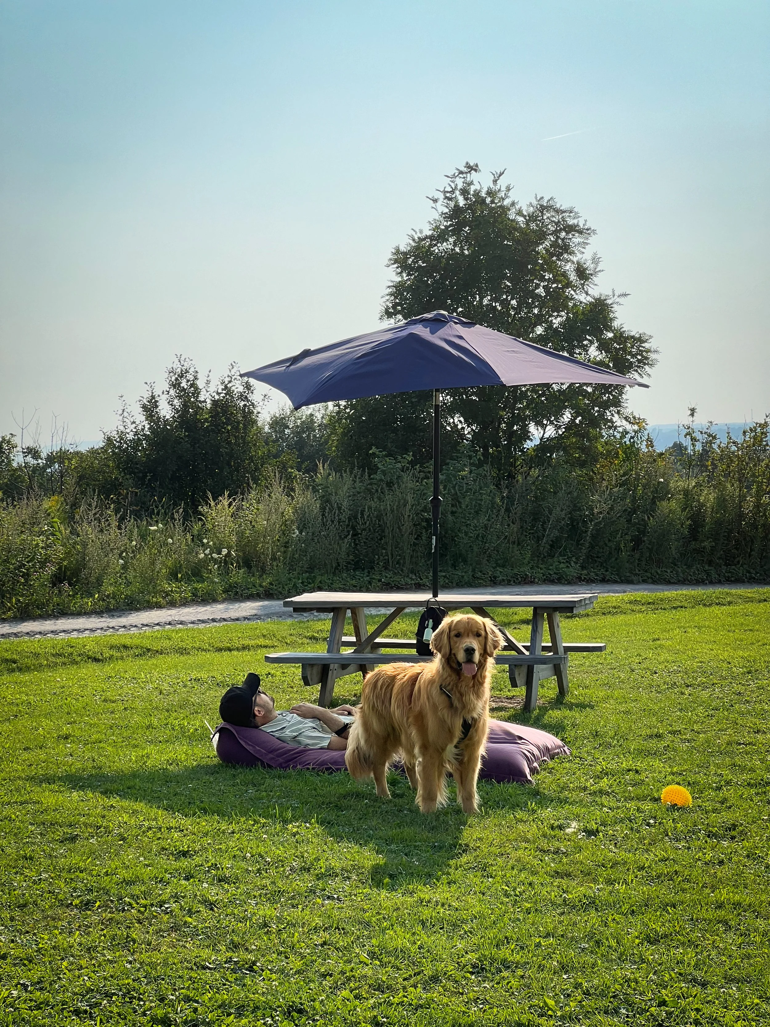 [Qc, Ile d'Orléans] Cassis Monna &amp; Filles
