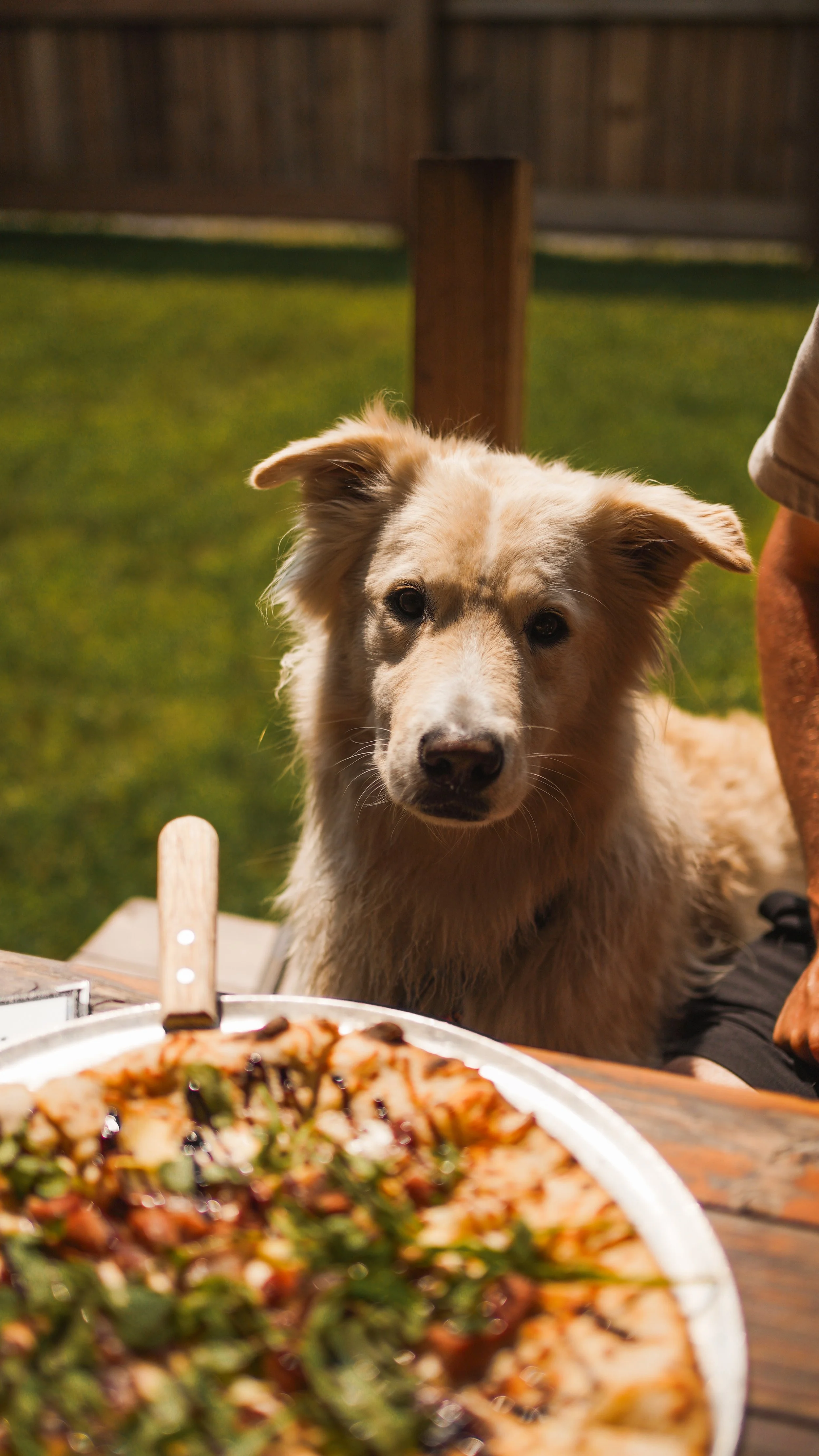 [Estrie, Knowlton] La Knowlton Co.