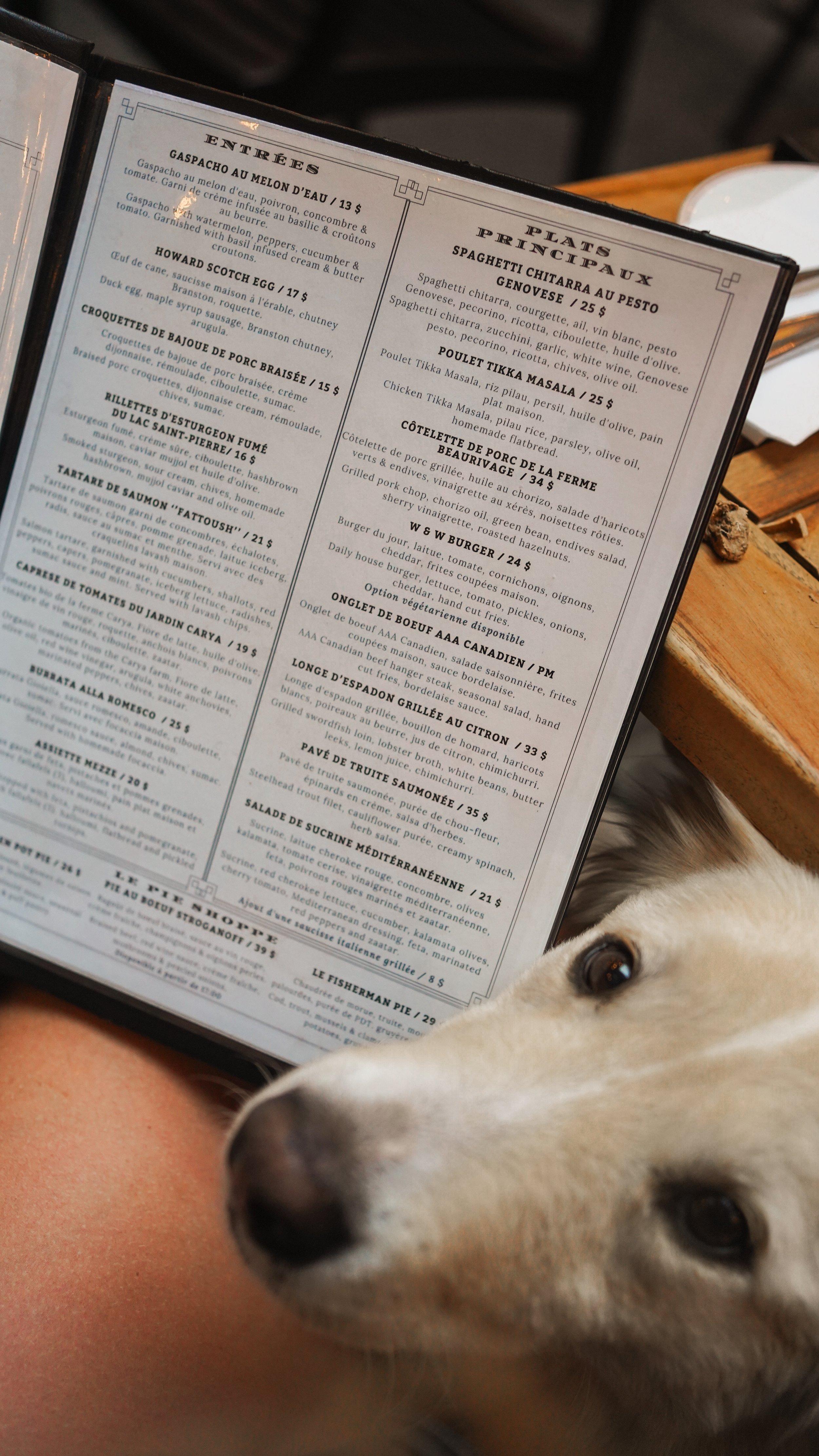 Wolf_and_Workman_terrasse_chien_montréal (6).jpeg