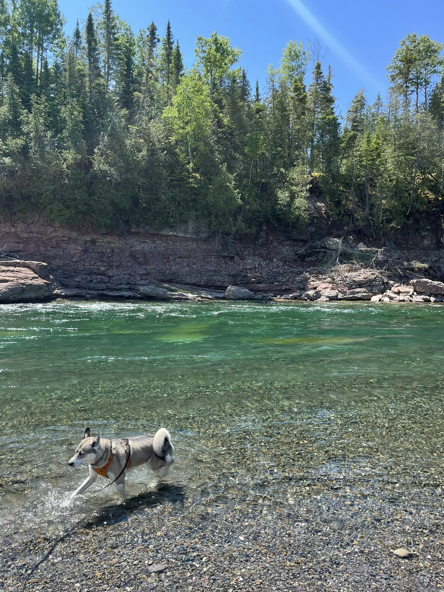 [Gaspésie, Bonaventure] Malin de la Rivière Bonaventure