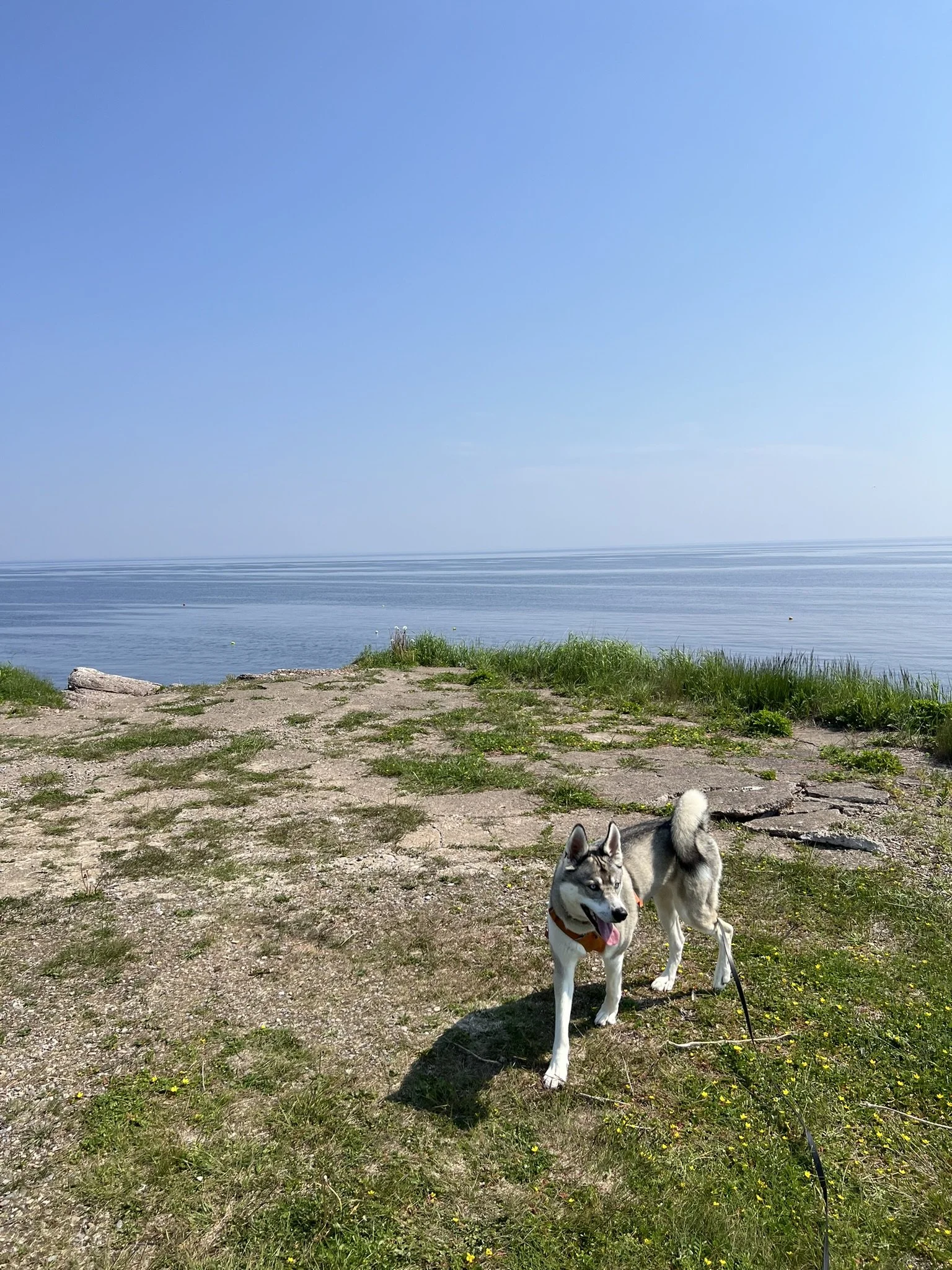[Gaspésie, St-George de Malbaie] Pointe Saint-Pierre 