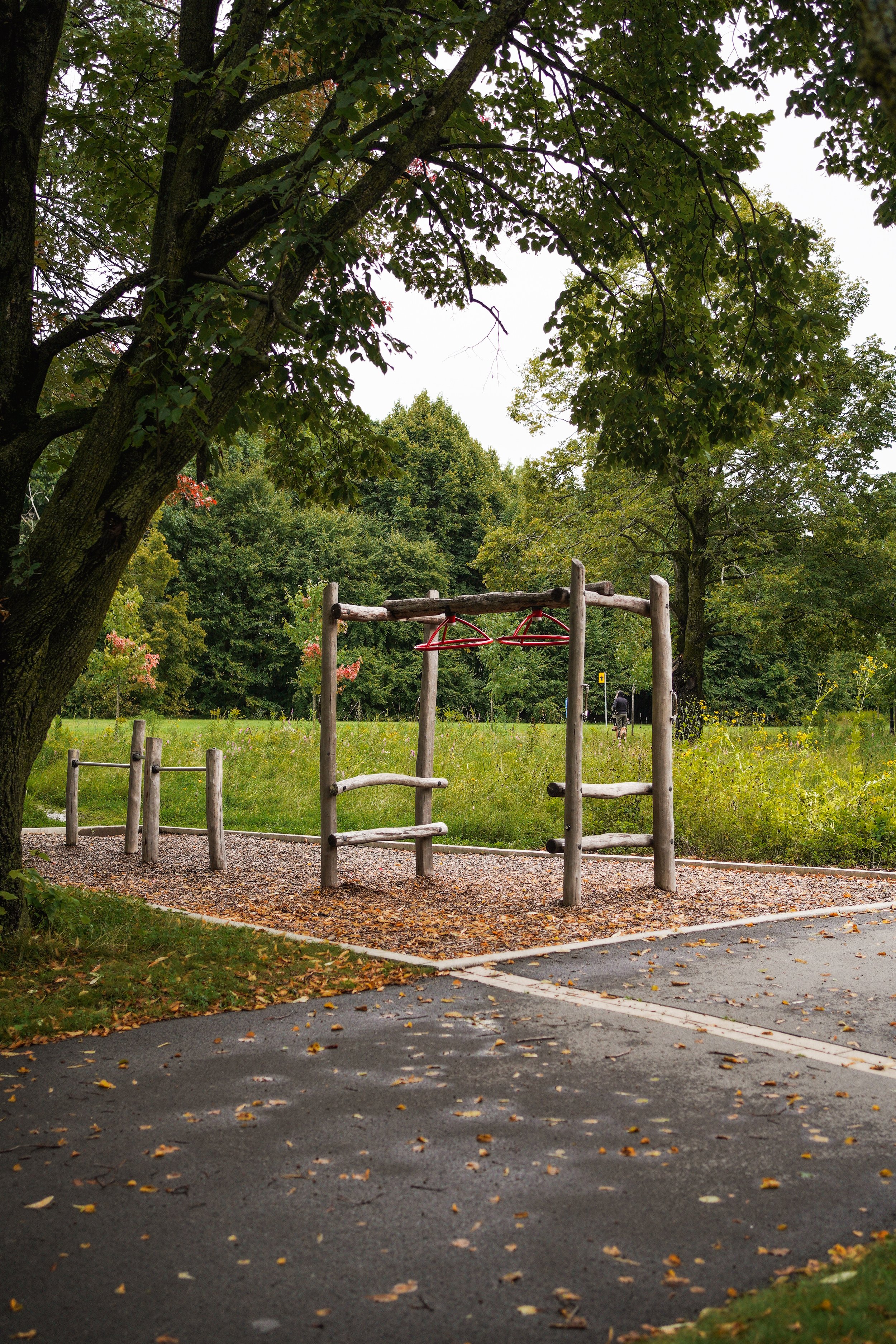 promenade_rivia_drummondville_chien_sentier (24).jpeg