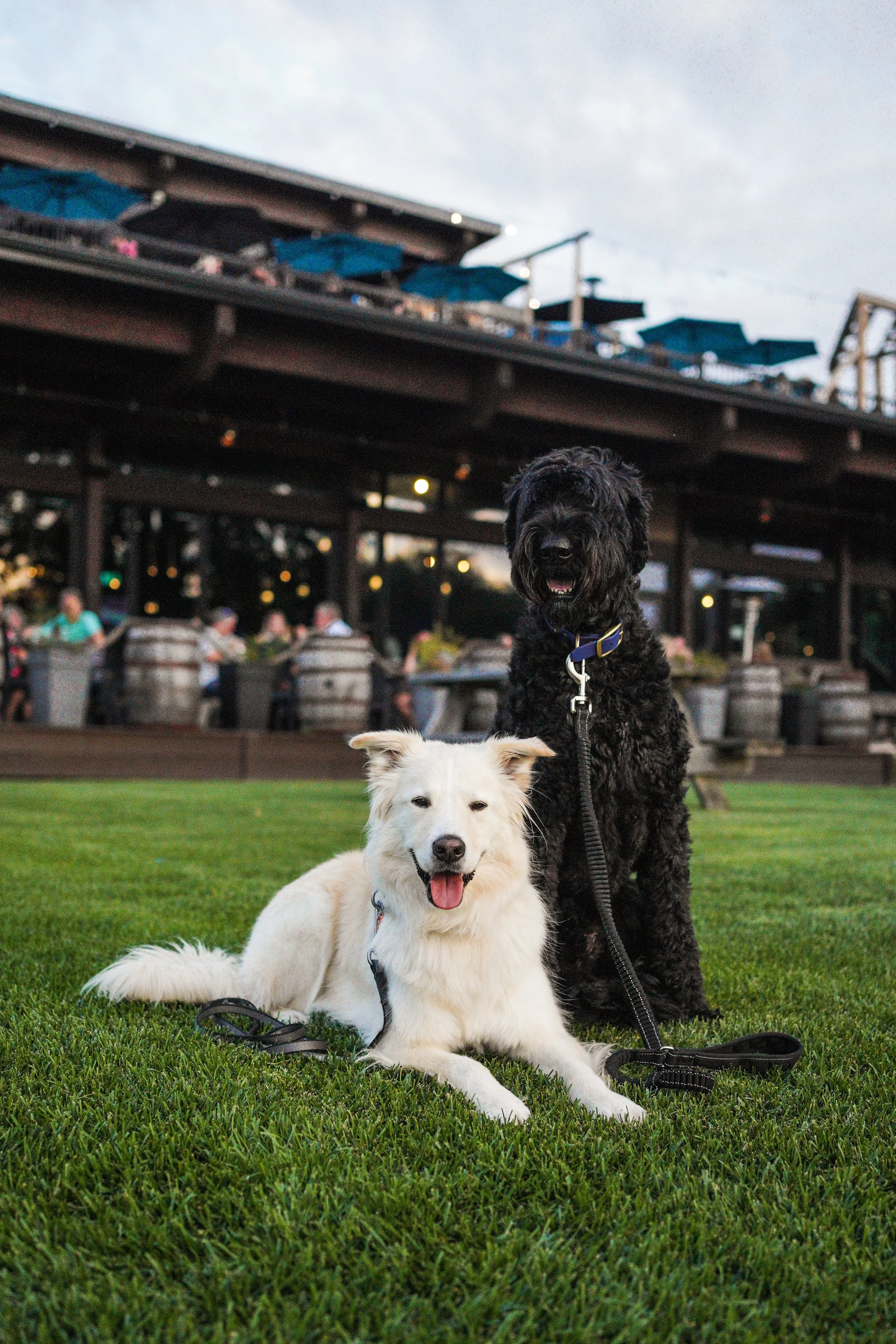 [Centre-du-Québec, Bécancour] Ô Quai des Brasseurs