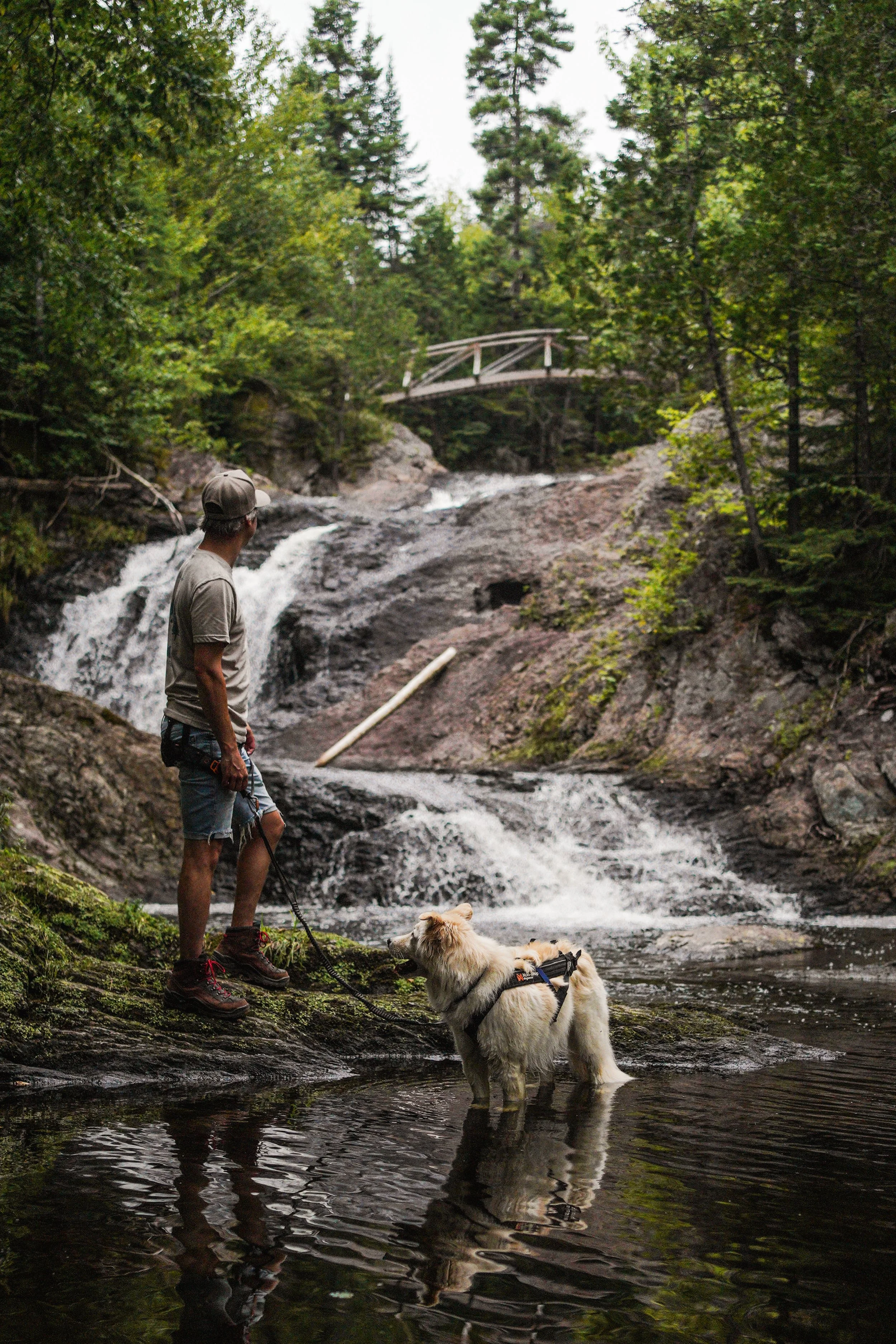 [Chaudière-Appalaches, Saint-Fabien-de-Panet] Parc des Appalaches, secteur de la Chute du ruisseau des cèdres