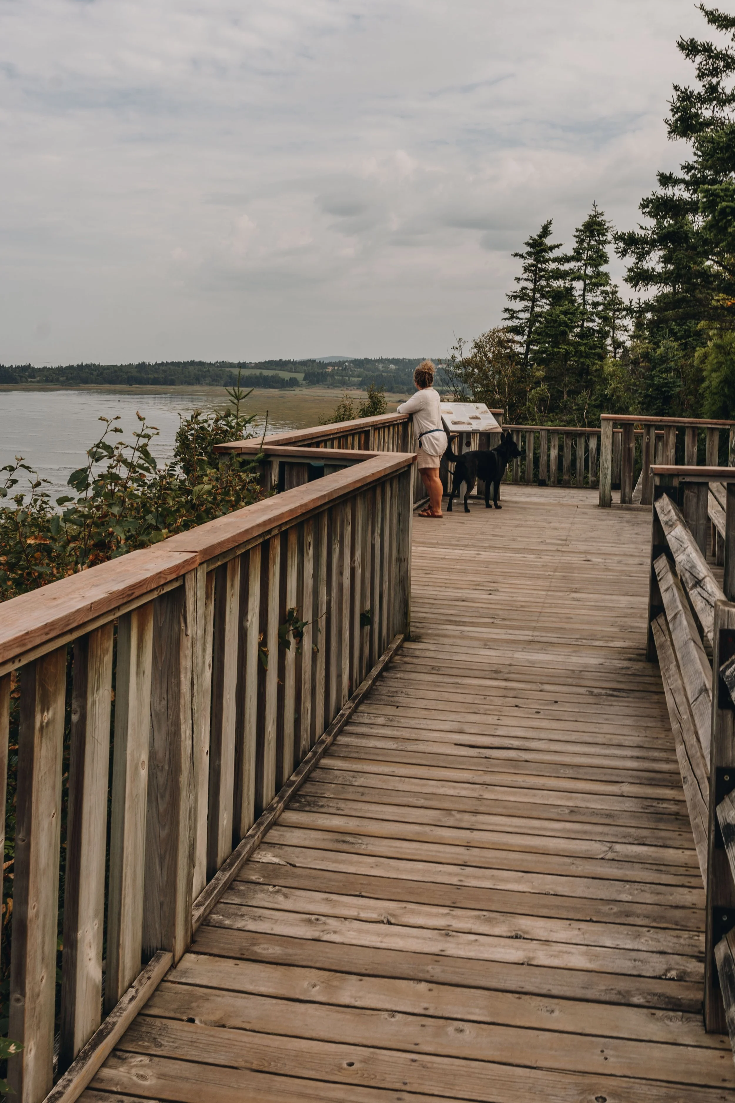 [BSL, Rivière-du-Loup] Belvédère de la Pointe — On va se promener